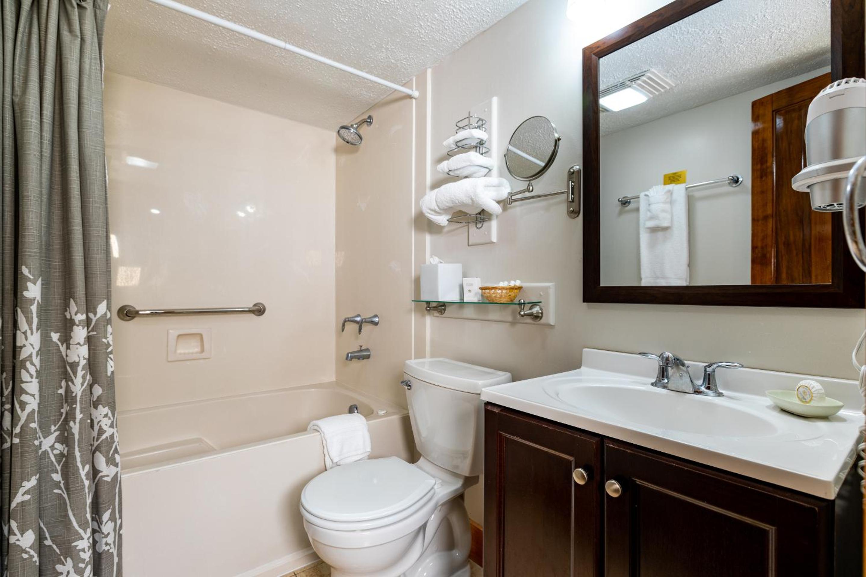Suite - Photo 5