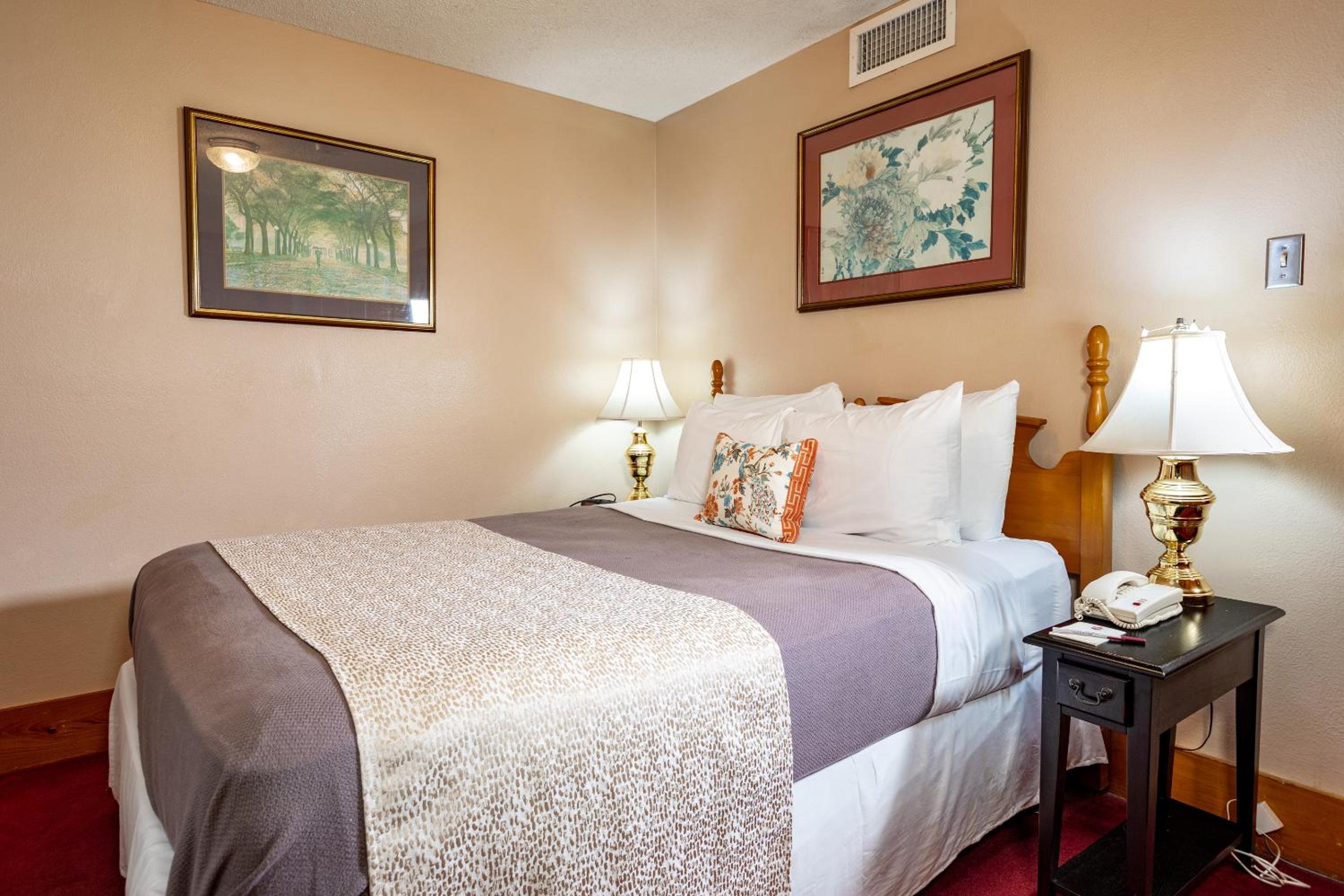 Superior Suite - Photo 3