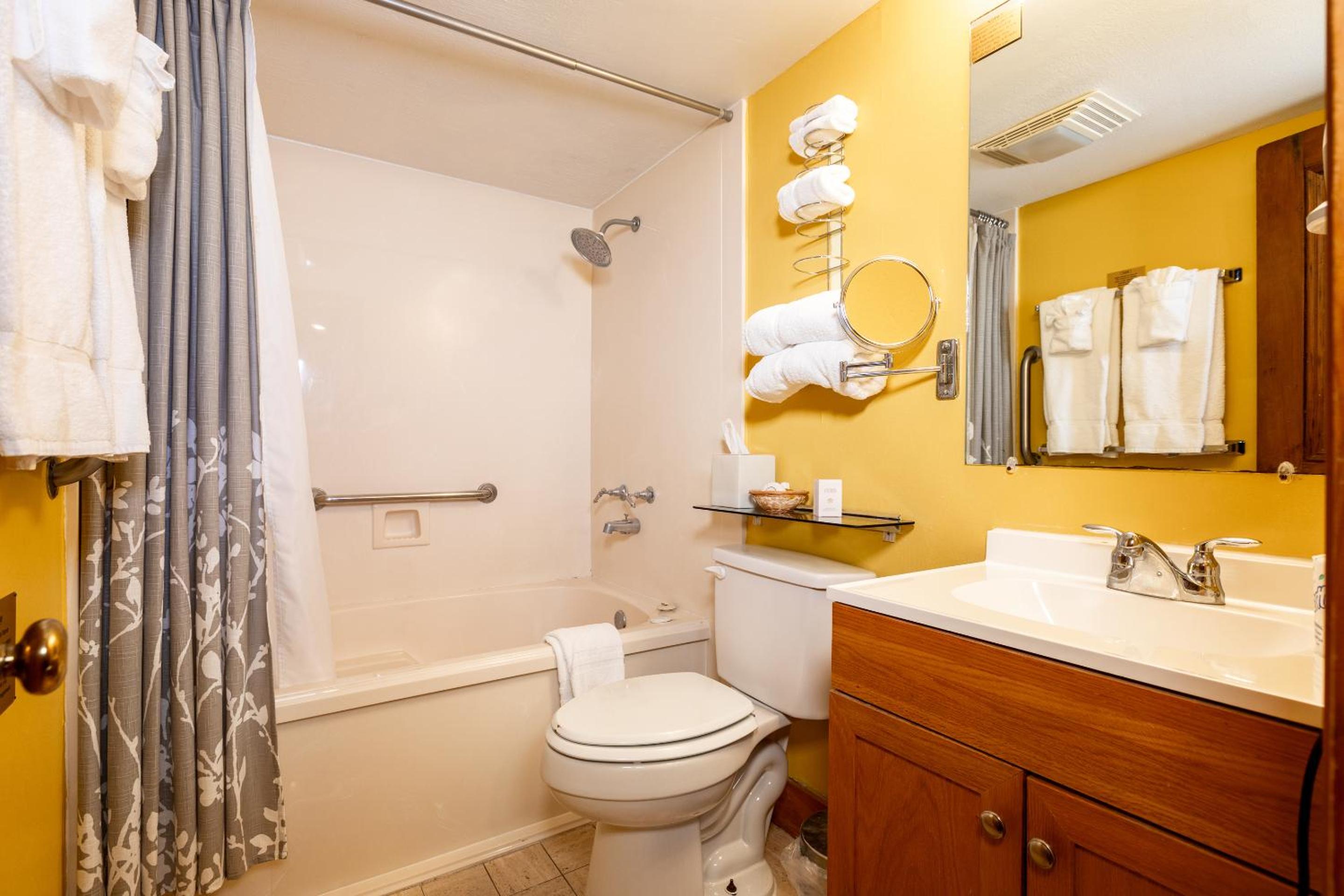 Deluxe Suite - Photo 3