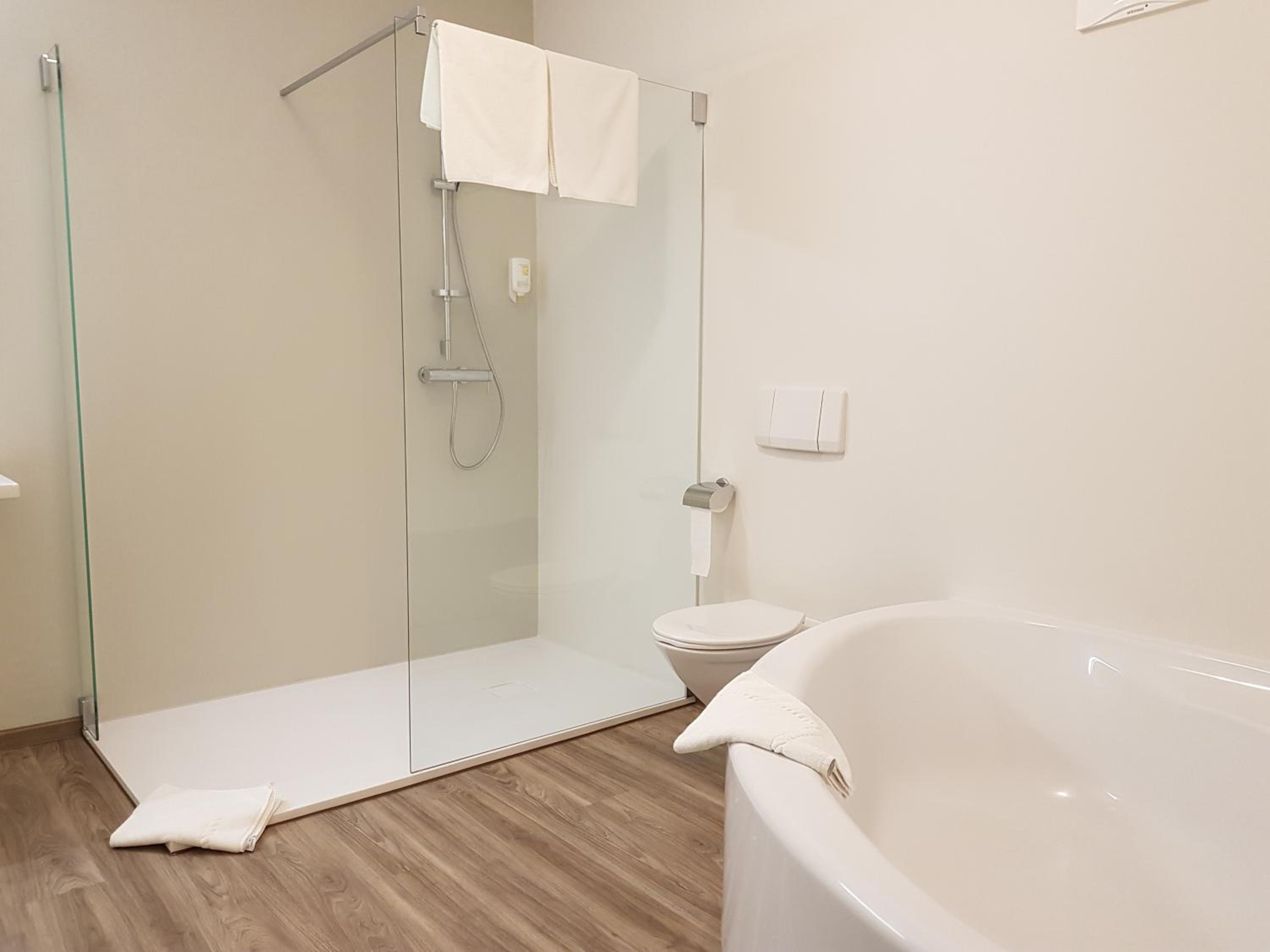 Deluxe Double or Twin Room photo 2