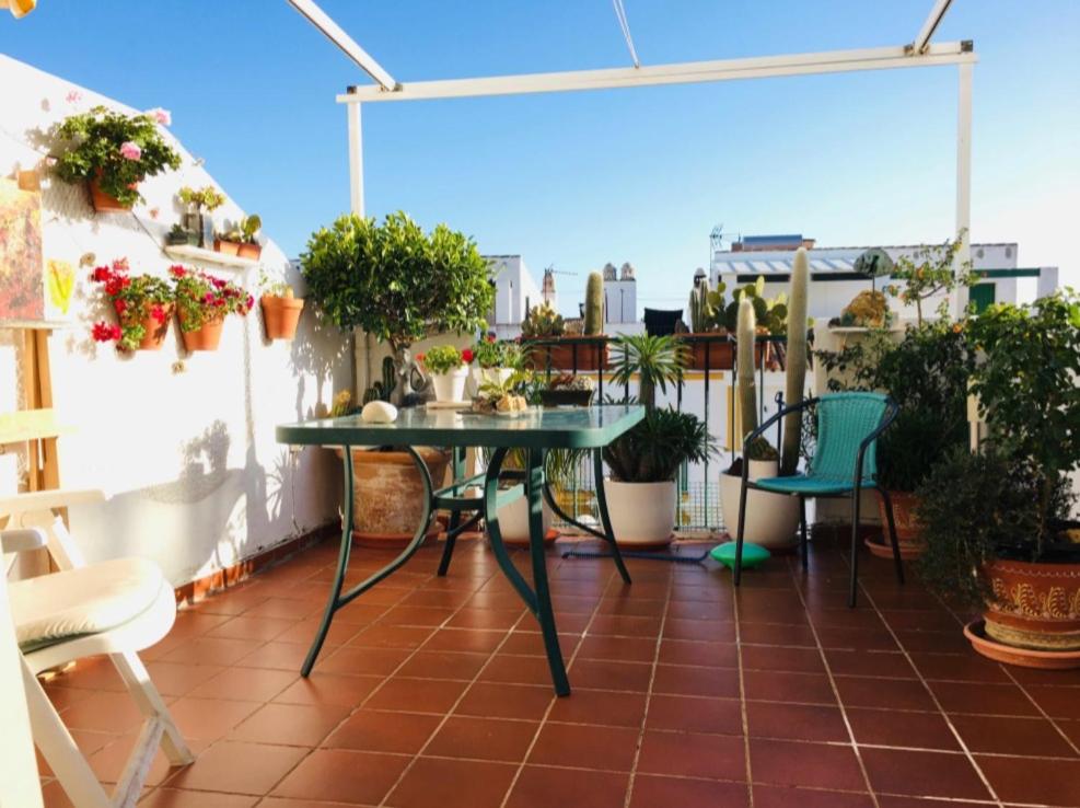 Apartment with Terrace photo 3