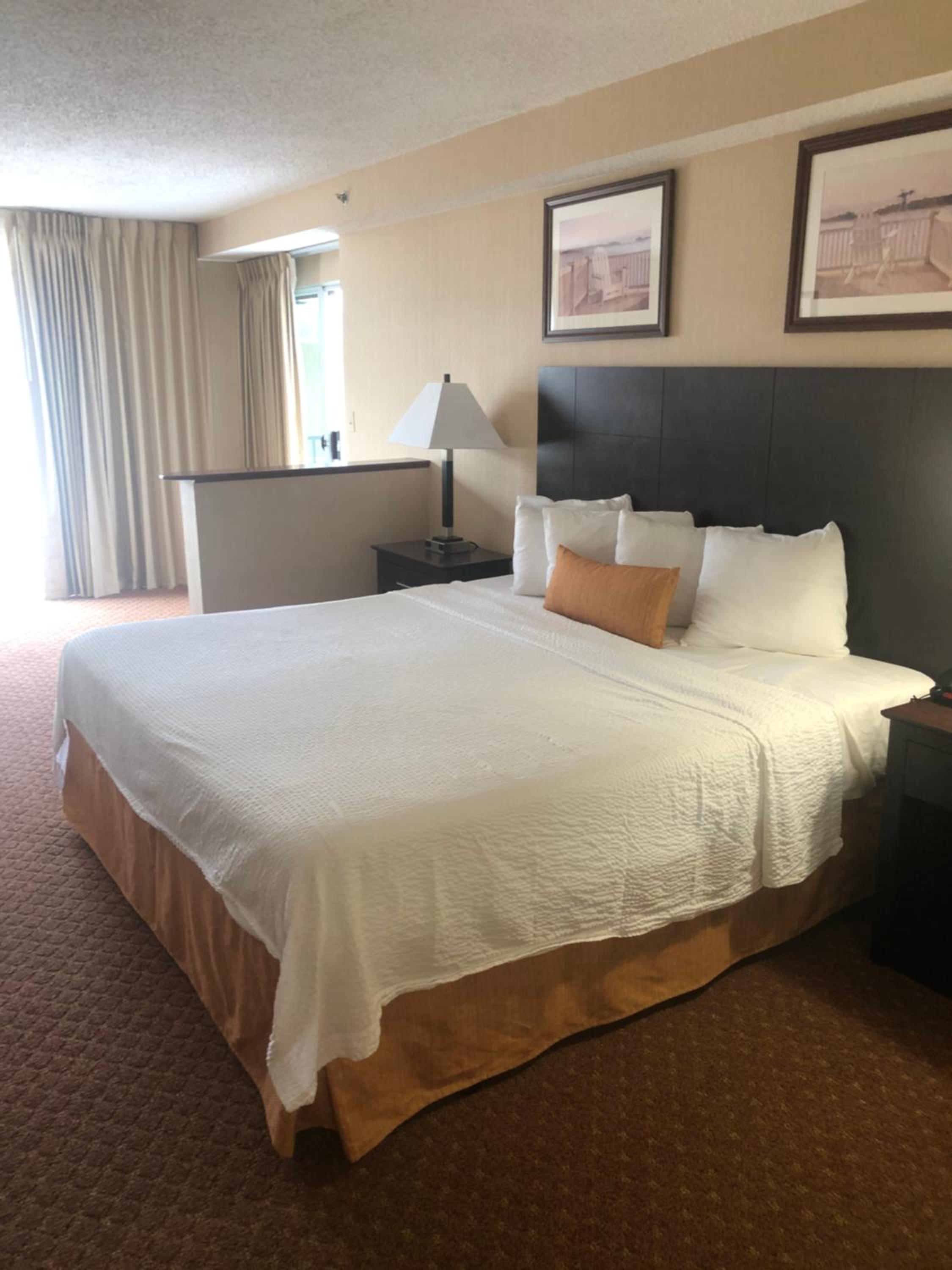 King Room with Kitchenette - South Building - Photo 1