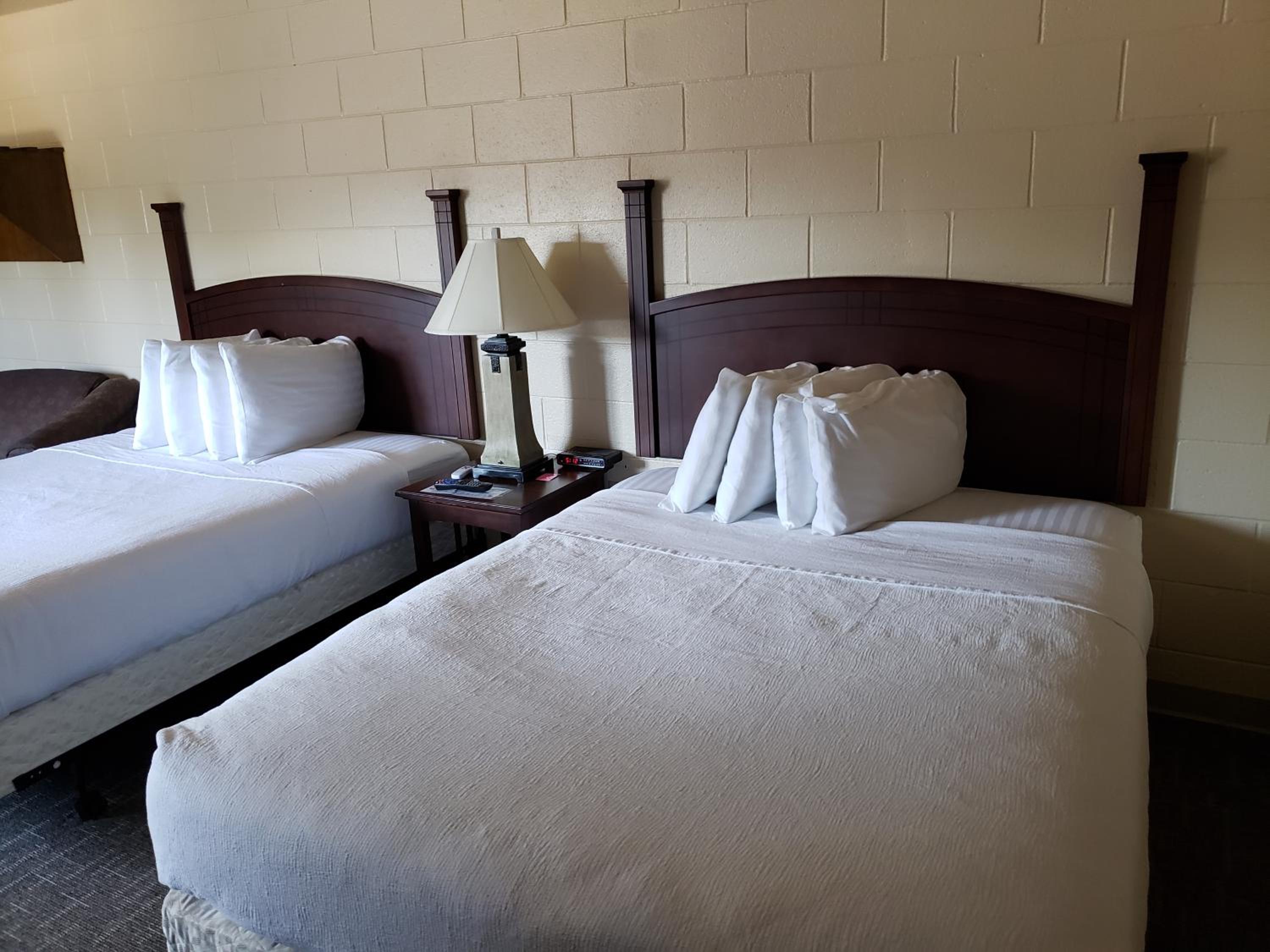 Double Room photo 2