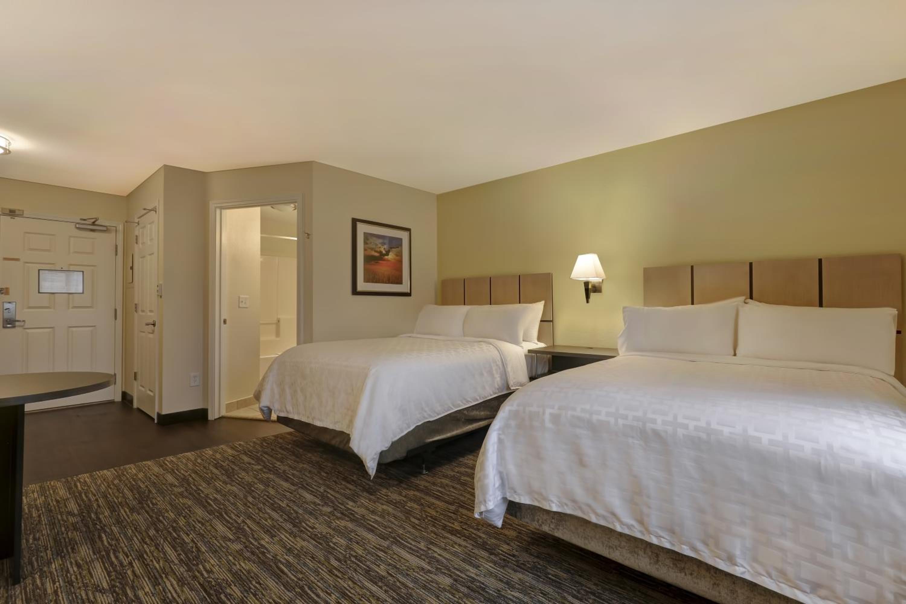 Studio Suite with Two Double Beds - Photo 1