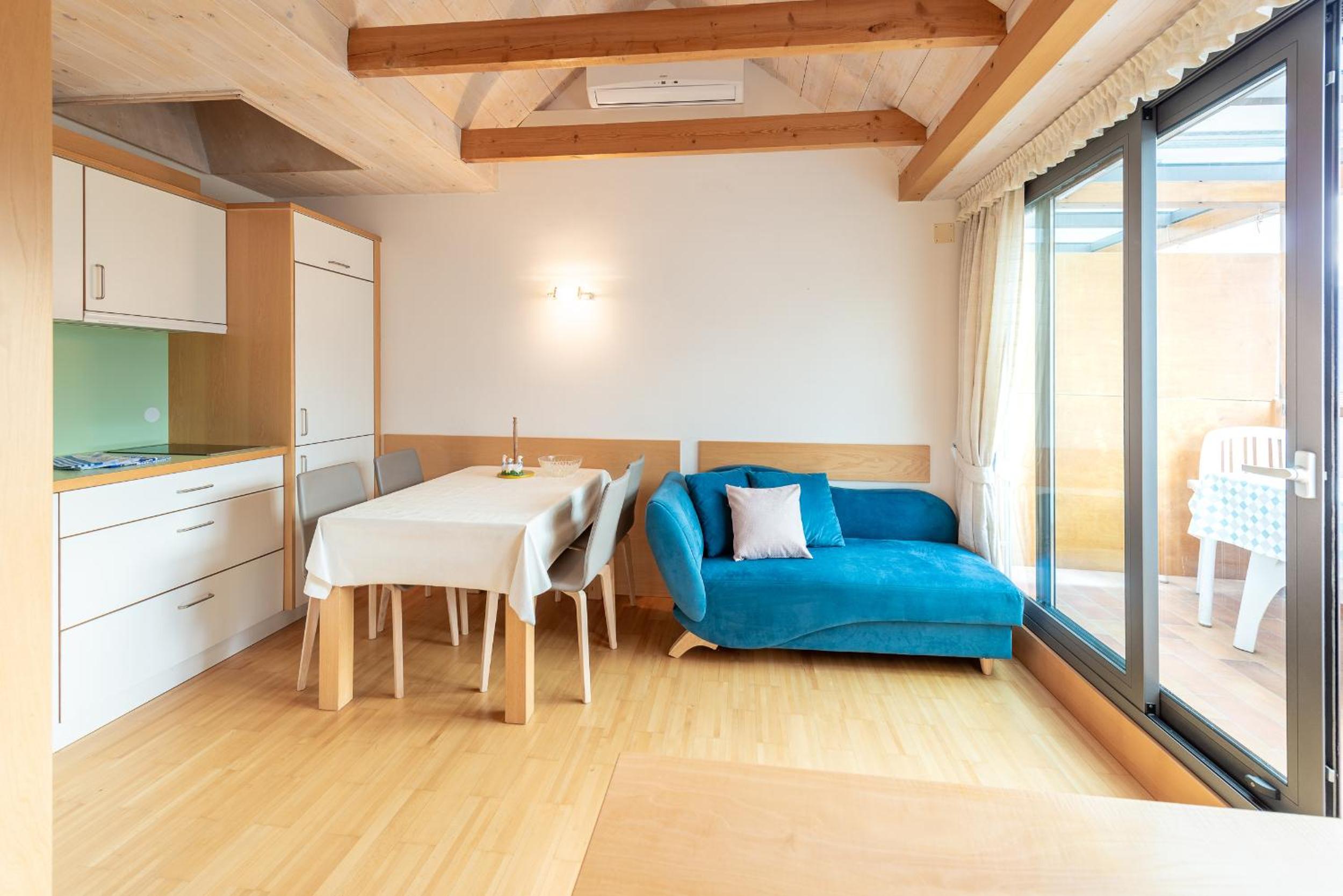 Apartment with Mountain View