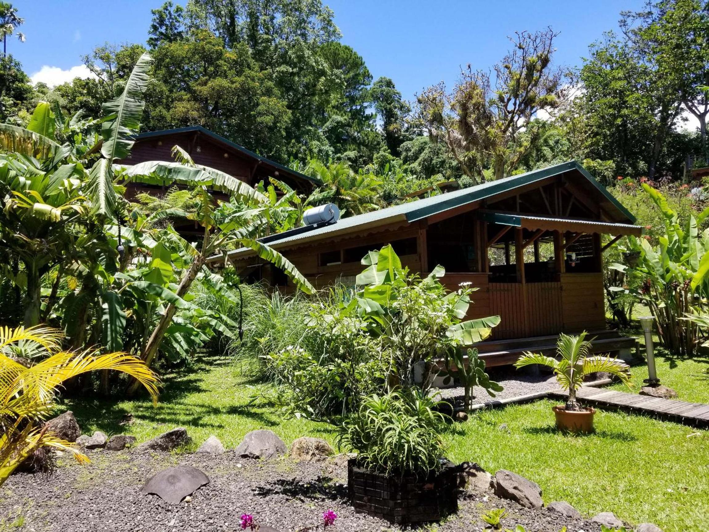 Family Bungalow photo 2