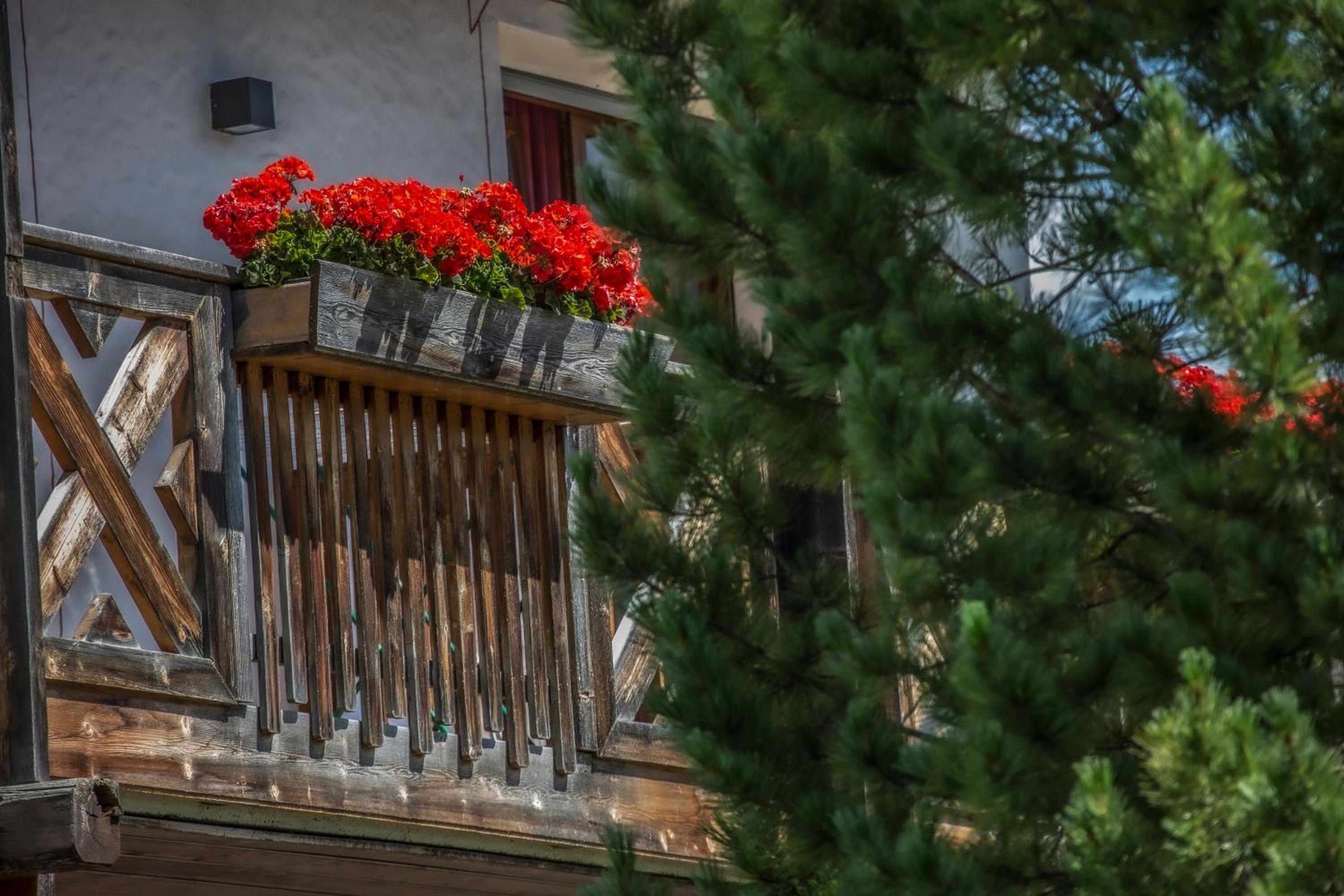 Superior One-Bedroom Apartment with Balcony and Mountain View - Photo 11