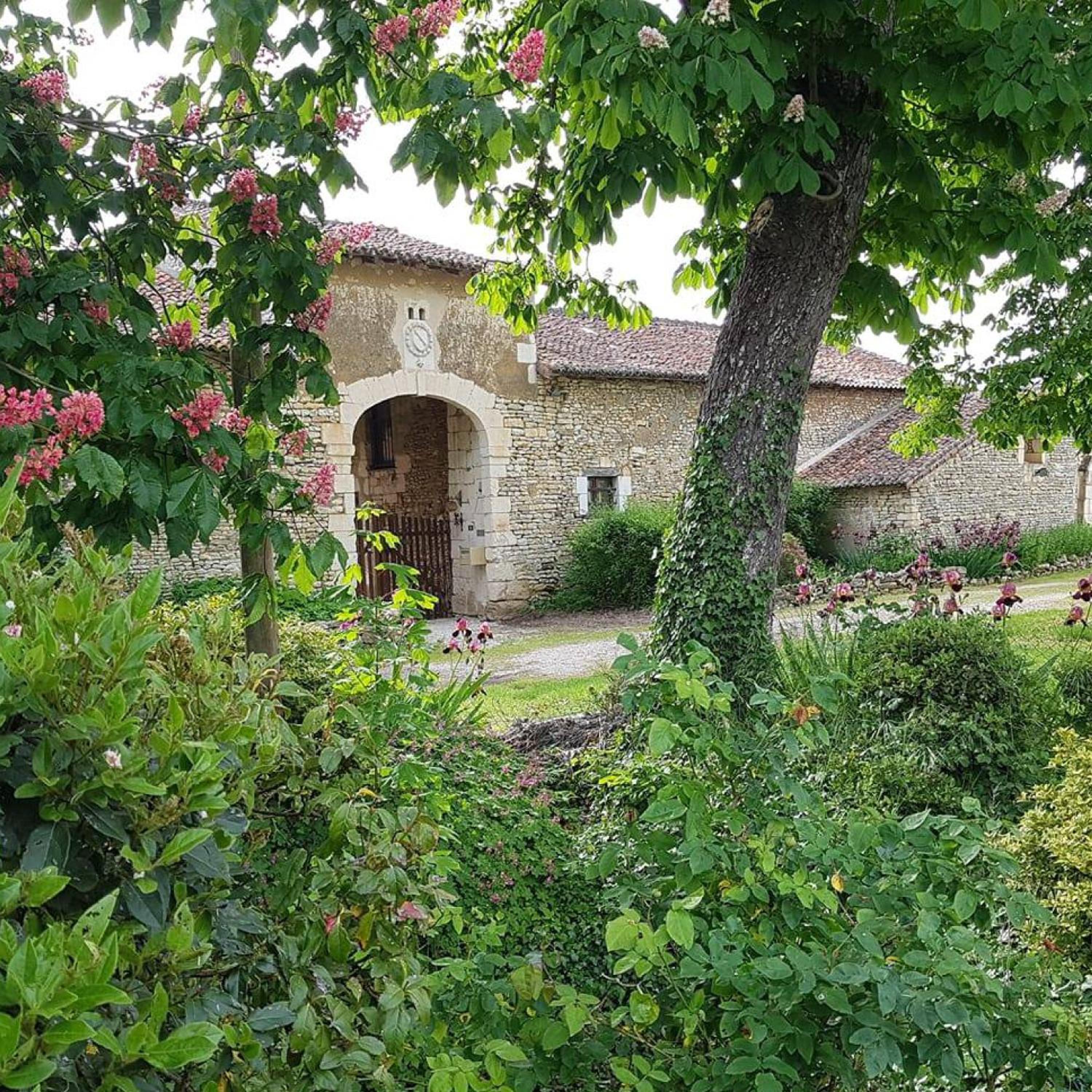 Apartment with Garden View - Photo 6