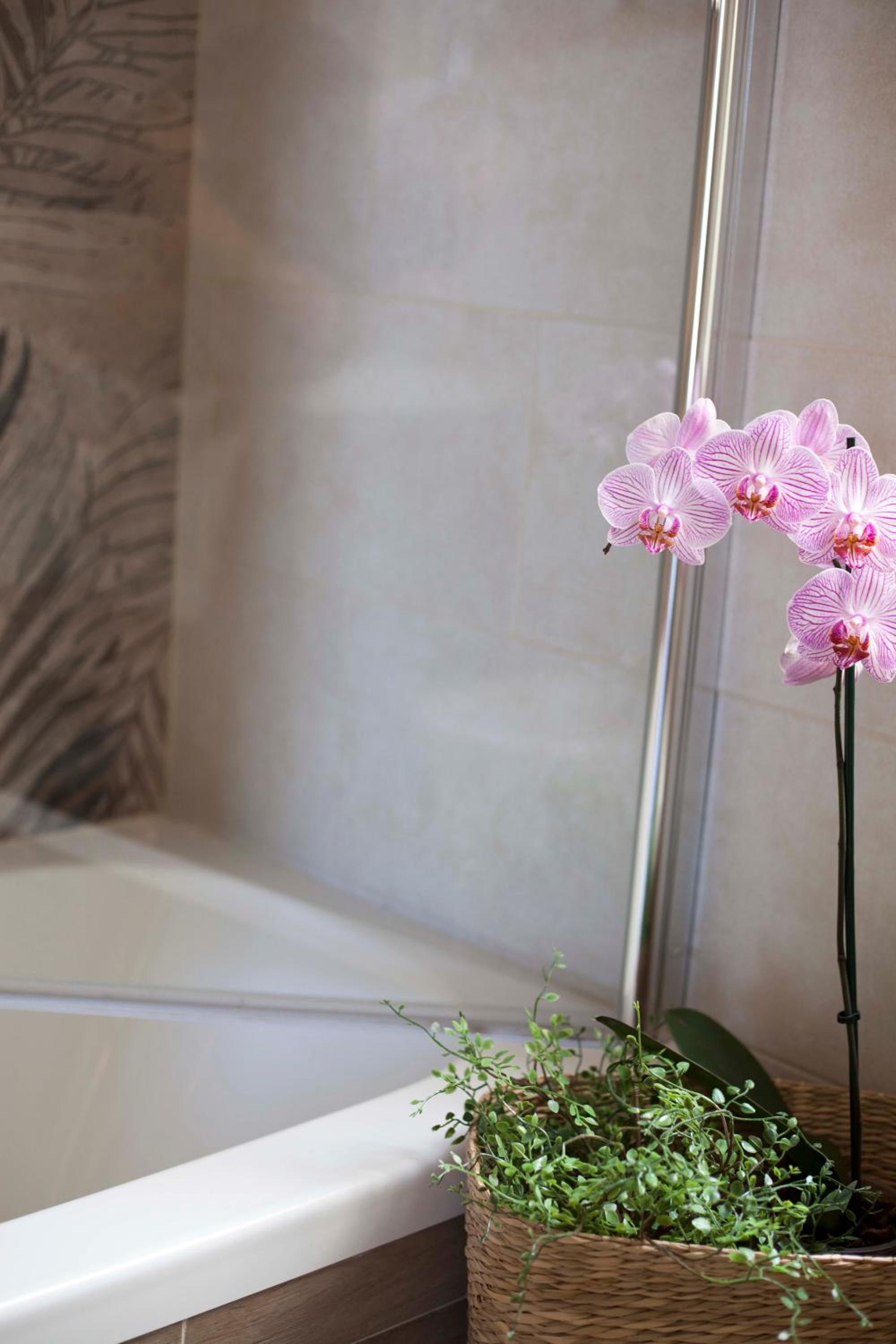 Double Room with Shared Bathroom photo 2