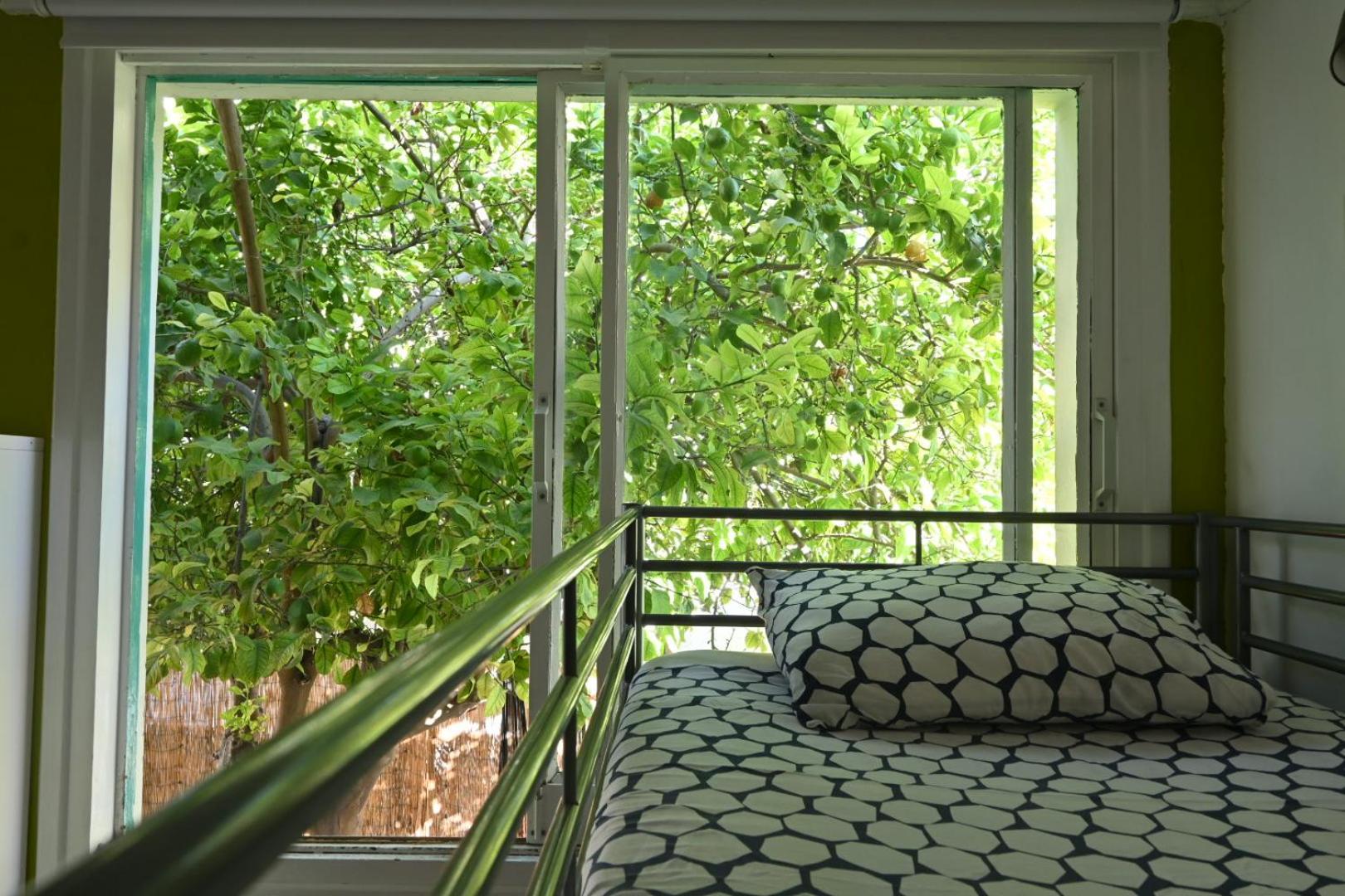 Bed in 6-Bed Female Dormitory Room photo 3