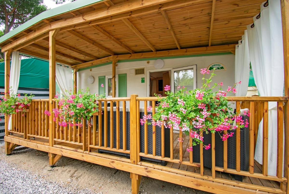 Mobile Home photo 1
