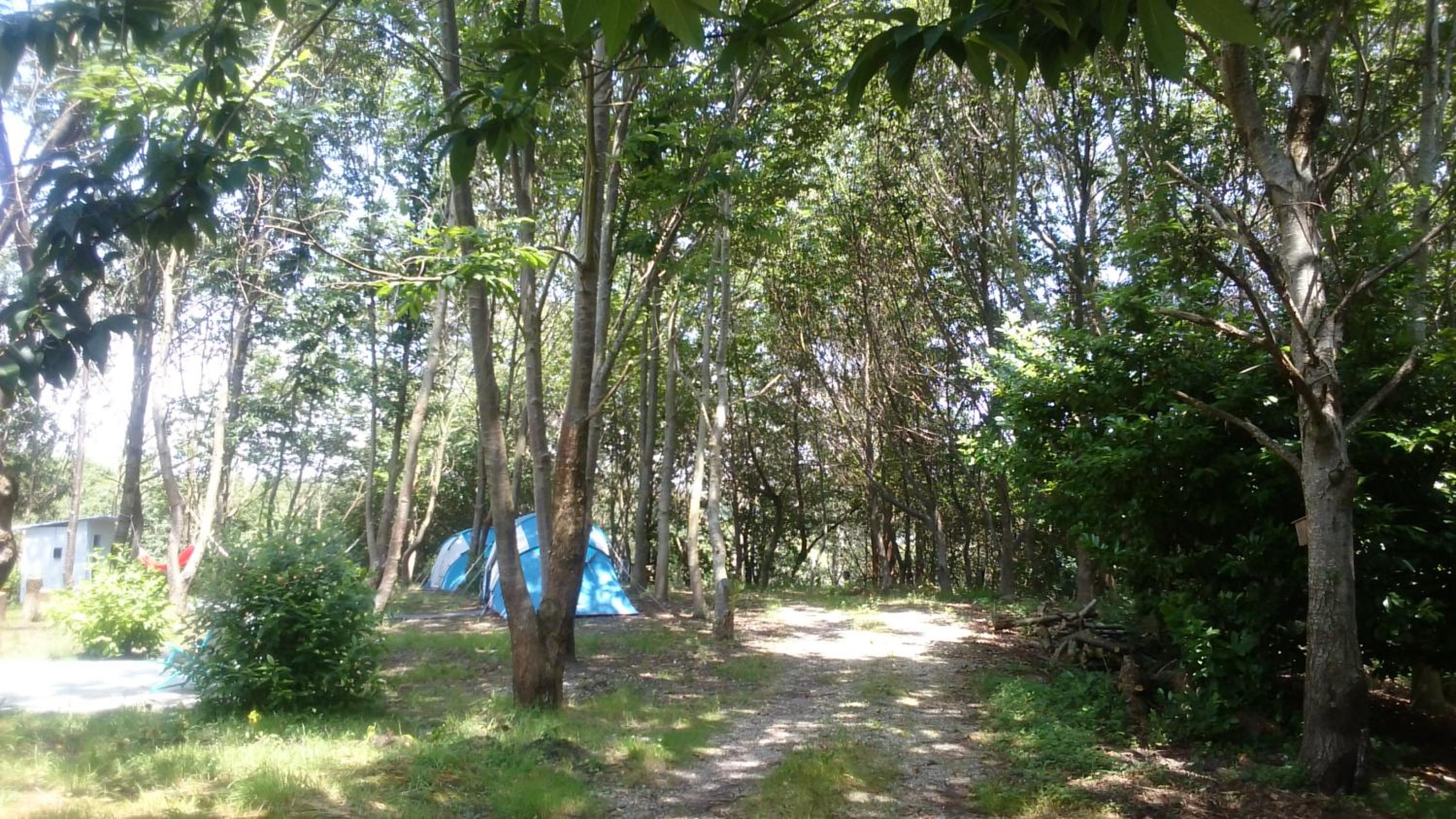 Deluxe Camping Tent - Photo 81