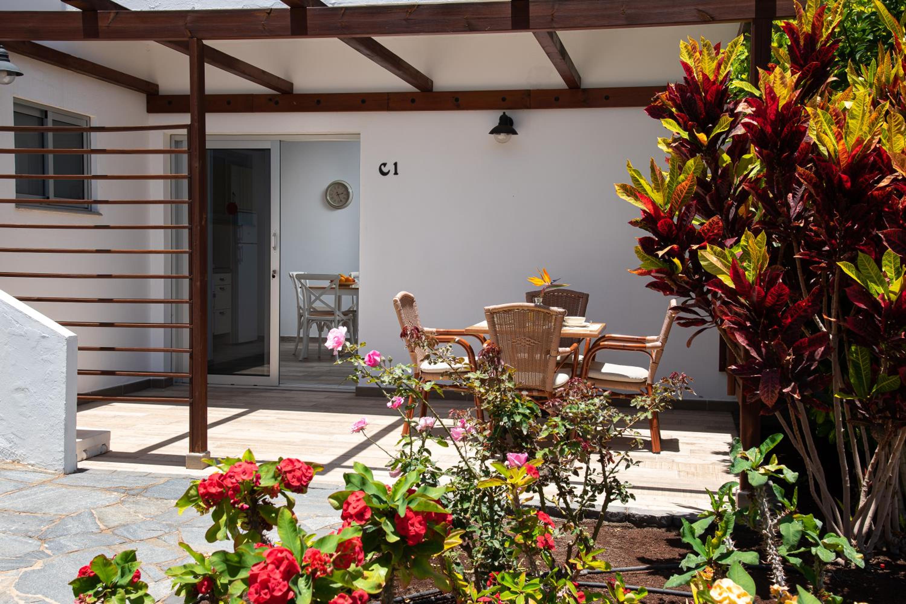 Apartment with Terrace photo 3