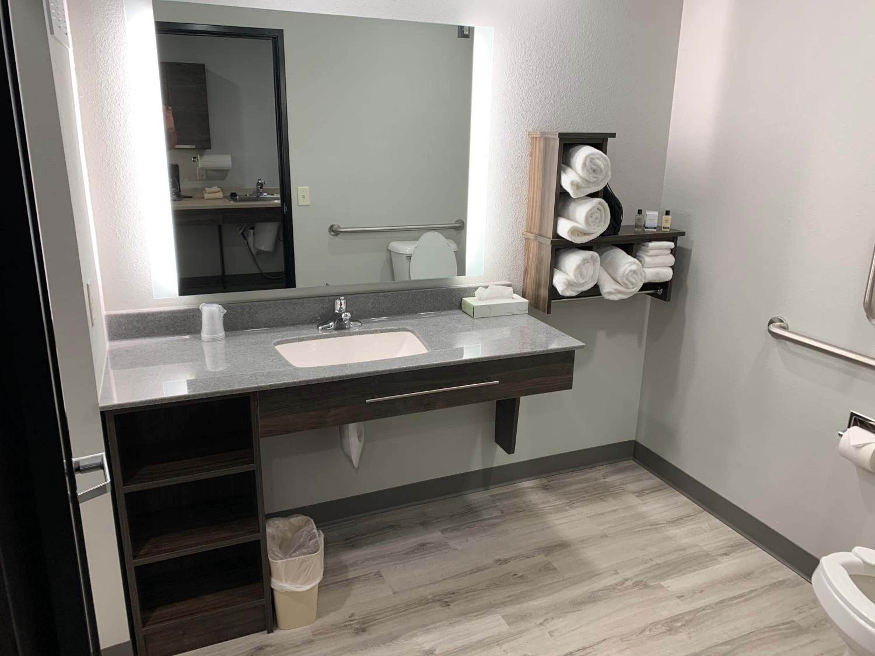 King Room - Mobility Accessible  - Photo 8
