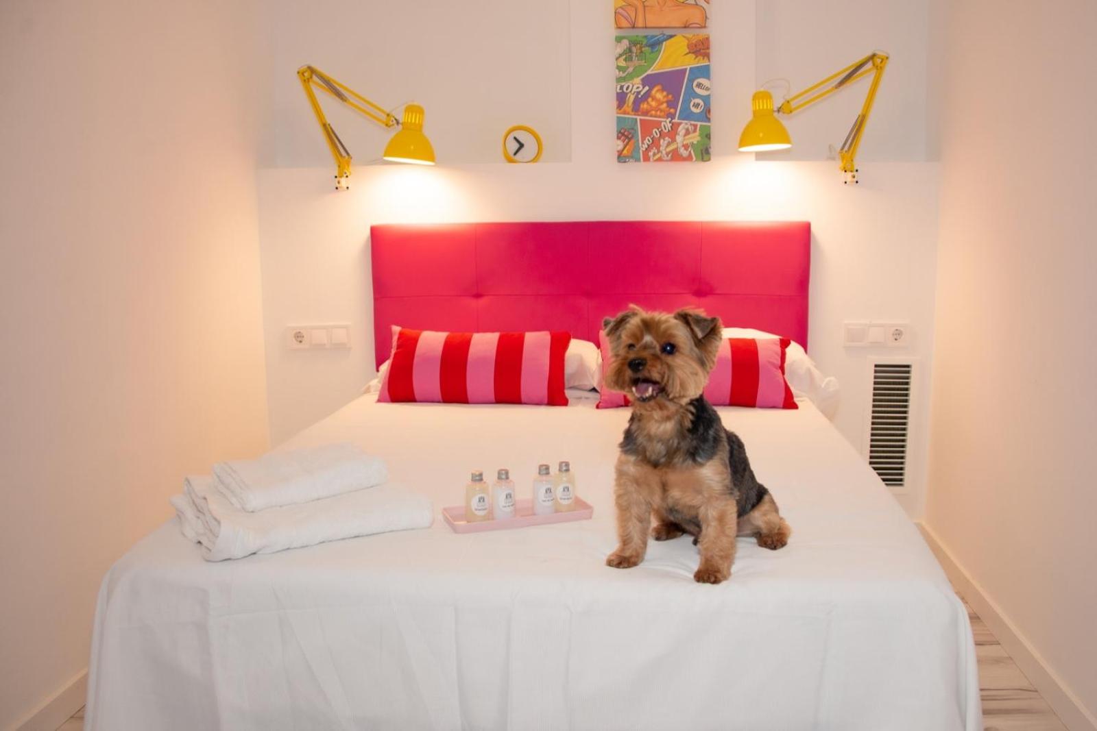 One-Bedroom Apartment - Photo 16