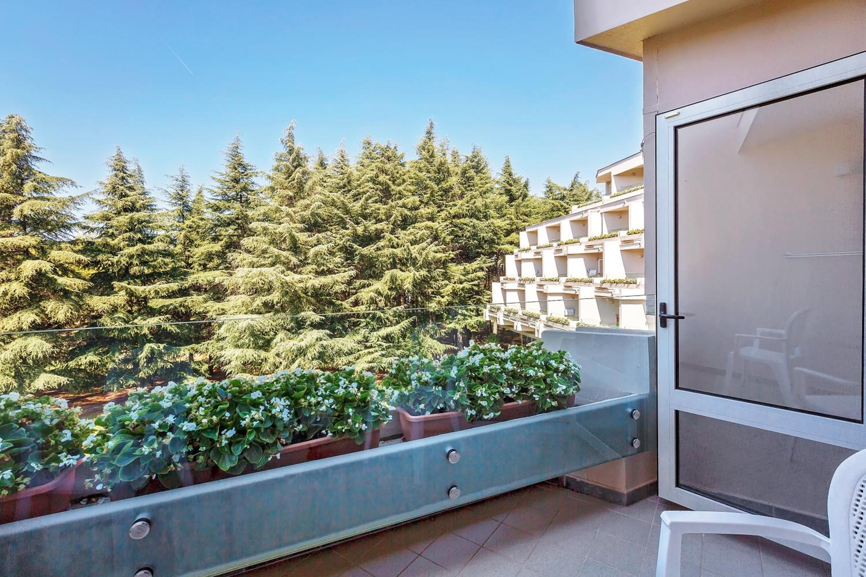 Classic Room with Balcony - Park Side - Photo 5