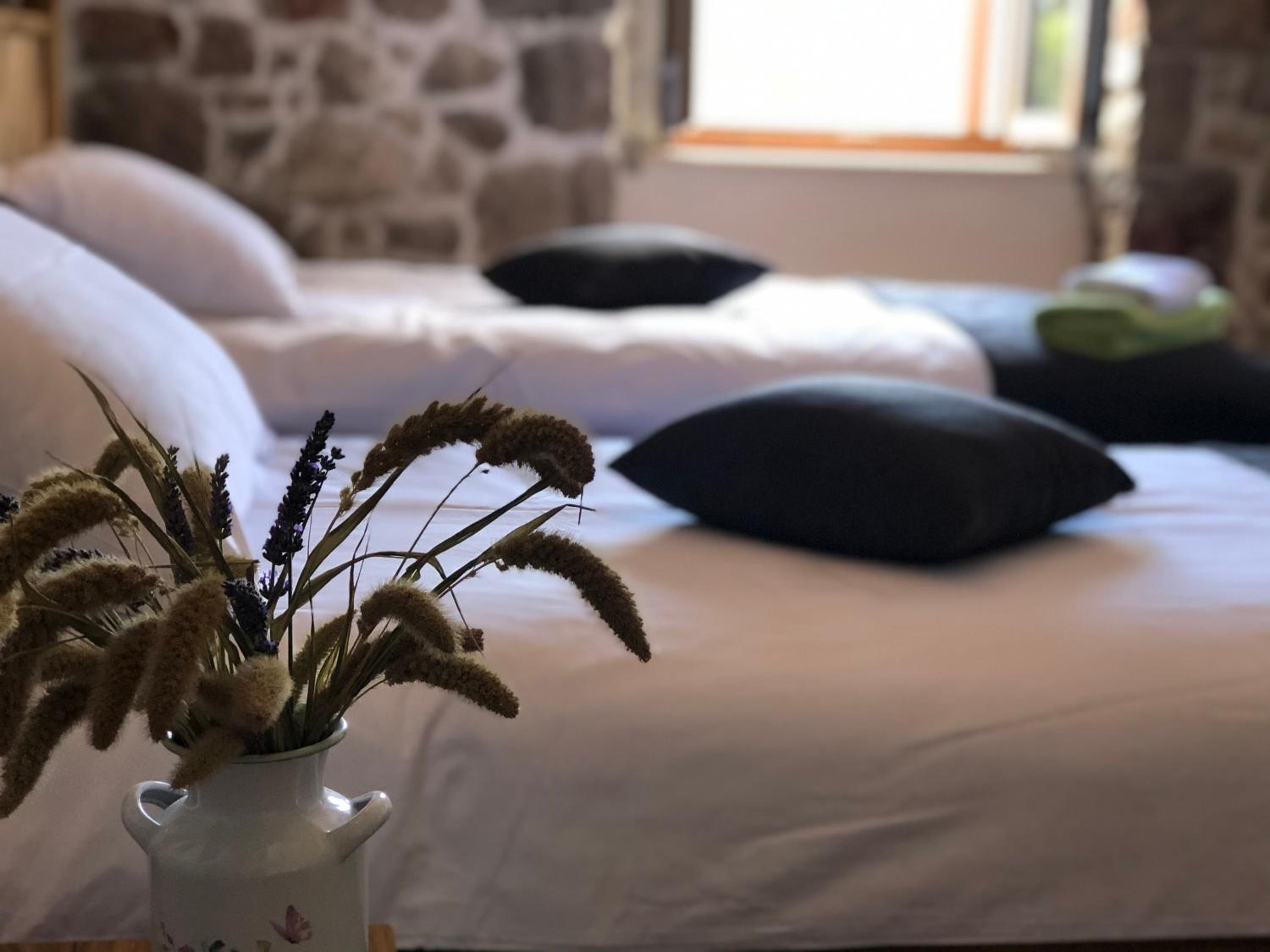 Double Or Twin Room photo 3