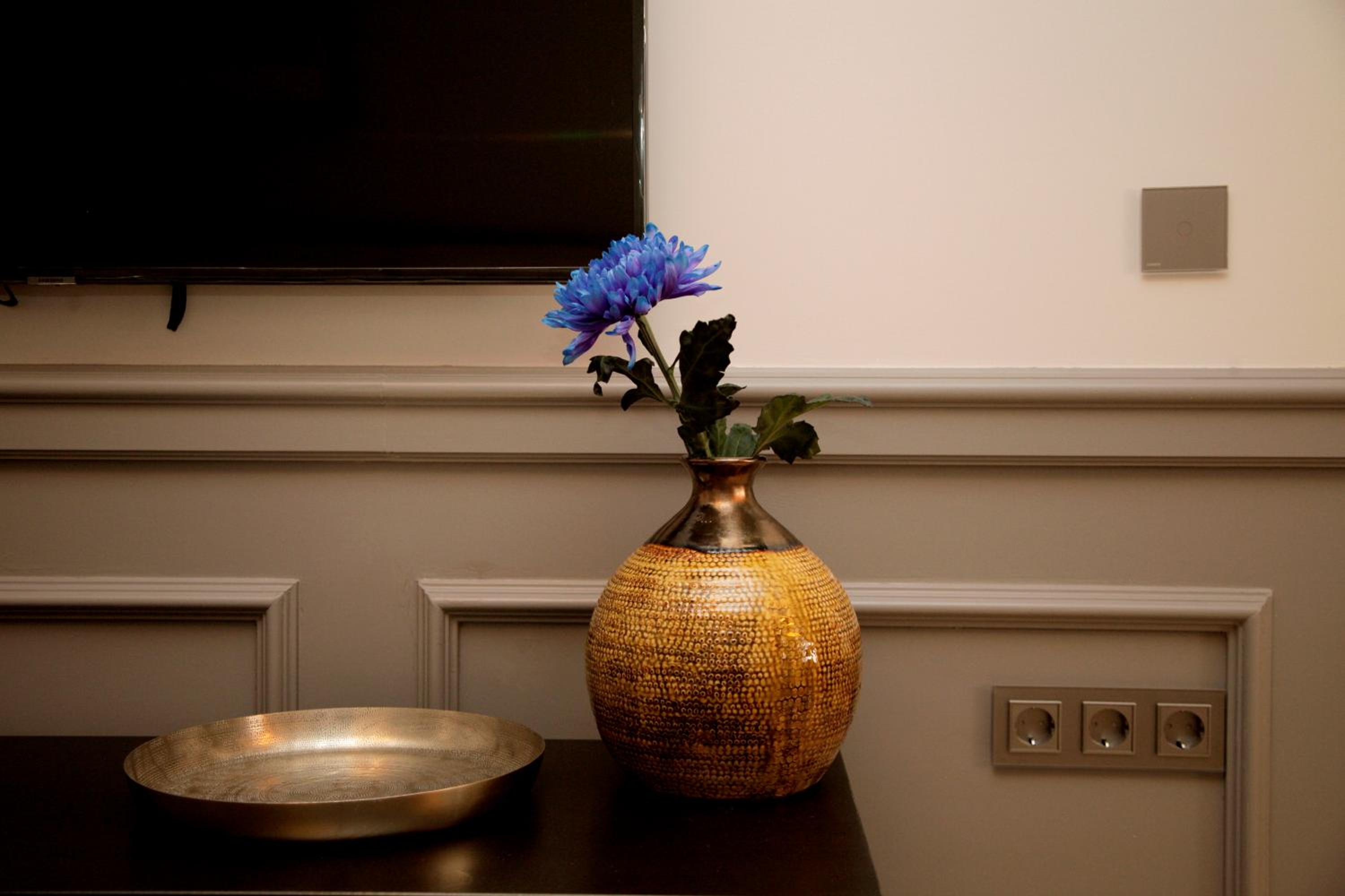 One-Bedroom Apartment - Photo 5
