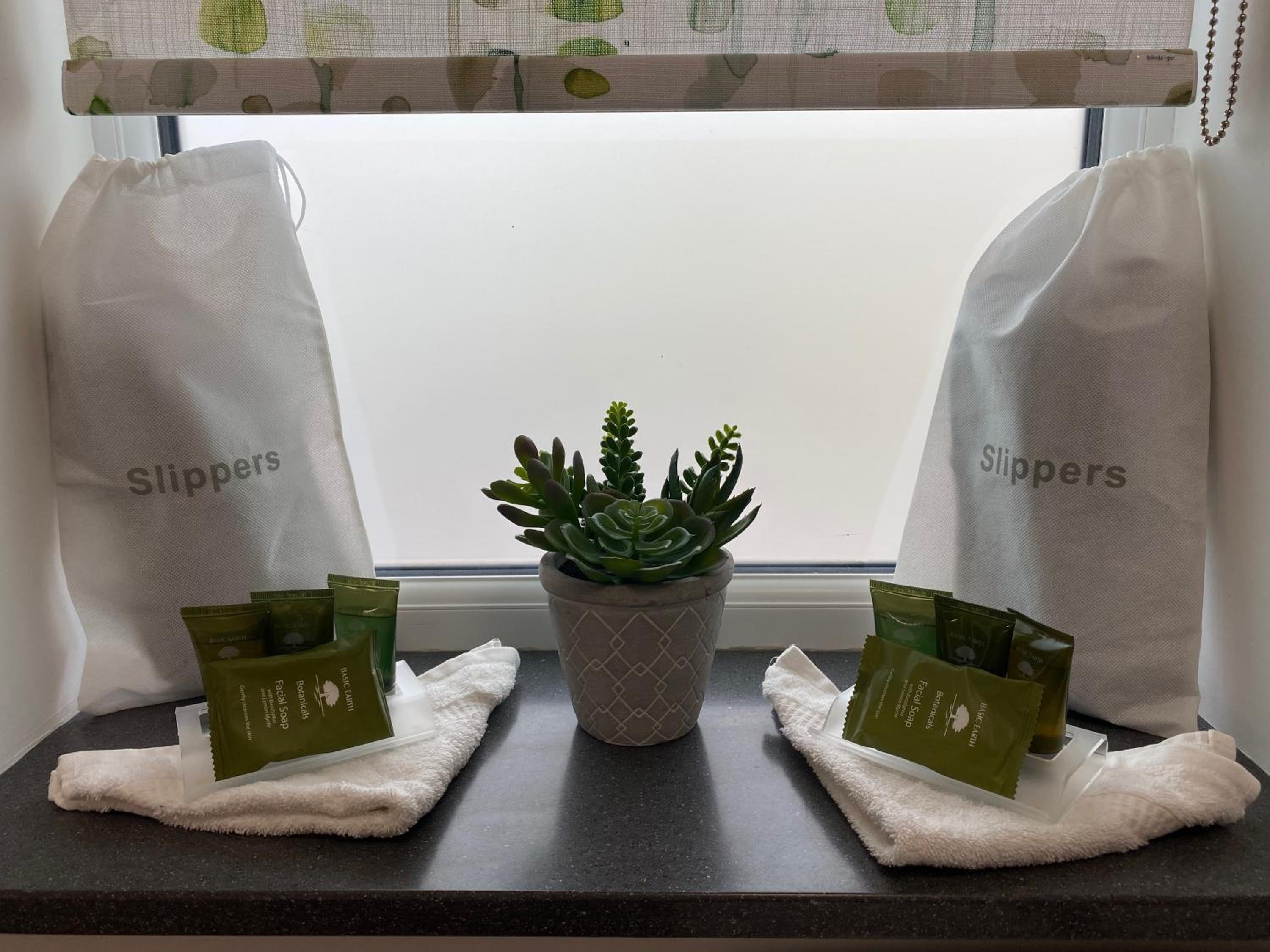 Superior Double or Twin Room with Terrace photo 3