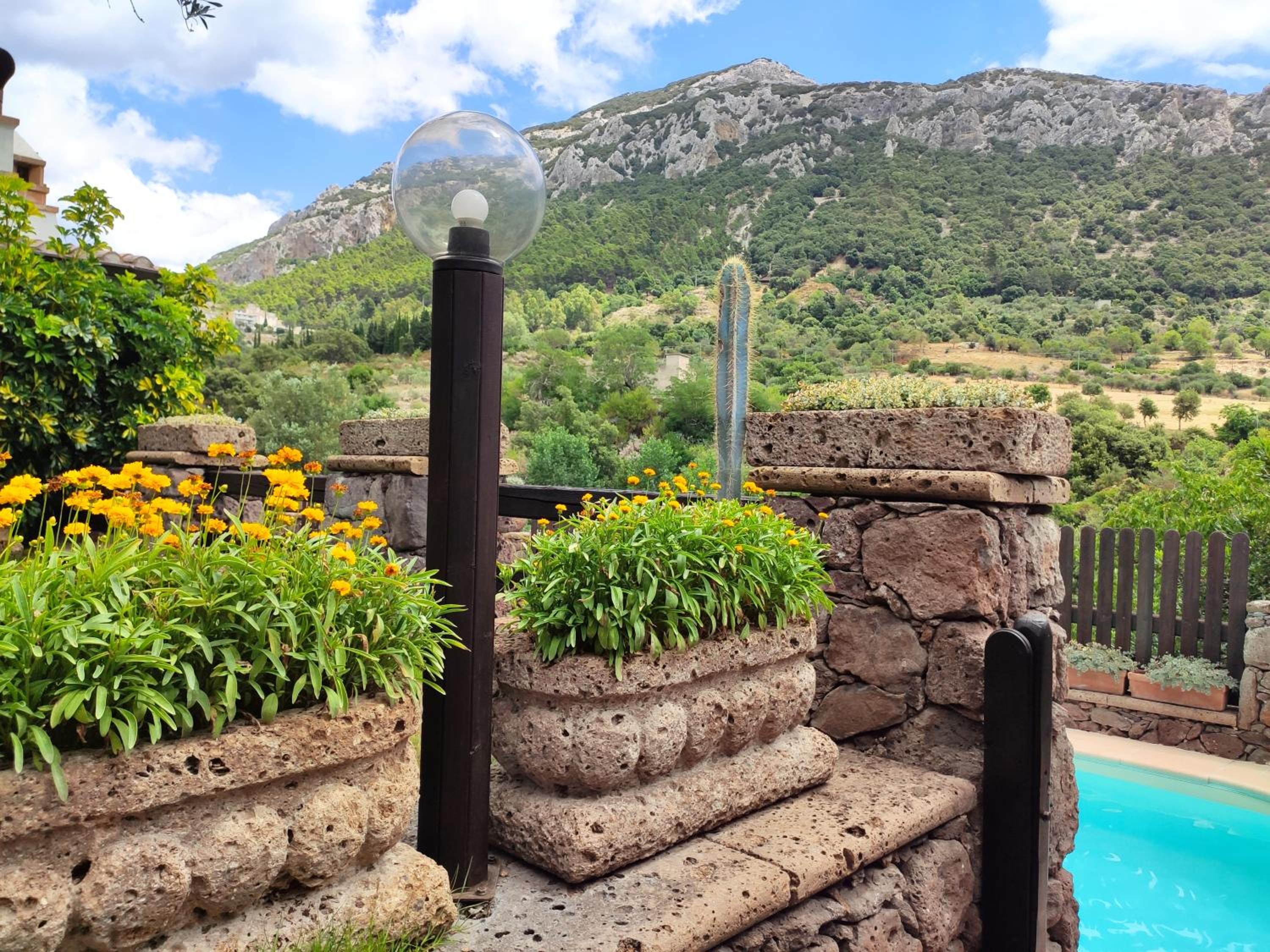 Studio with Private Pool photo 3