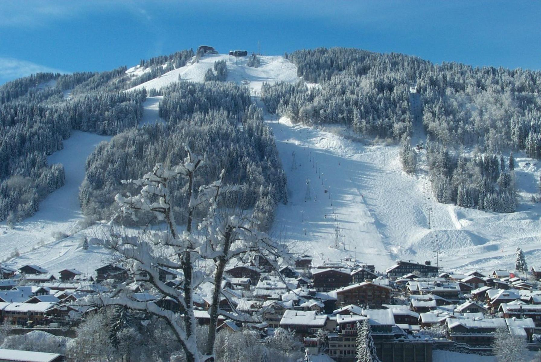 Chambre Simple Cosy - Vue sur Montagne