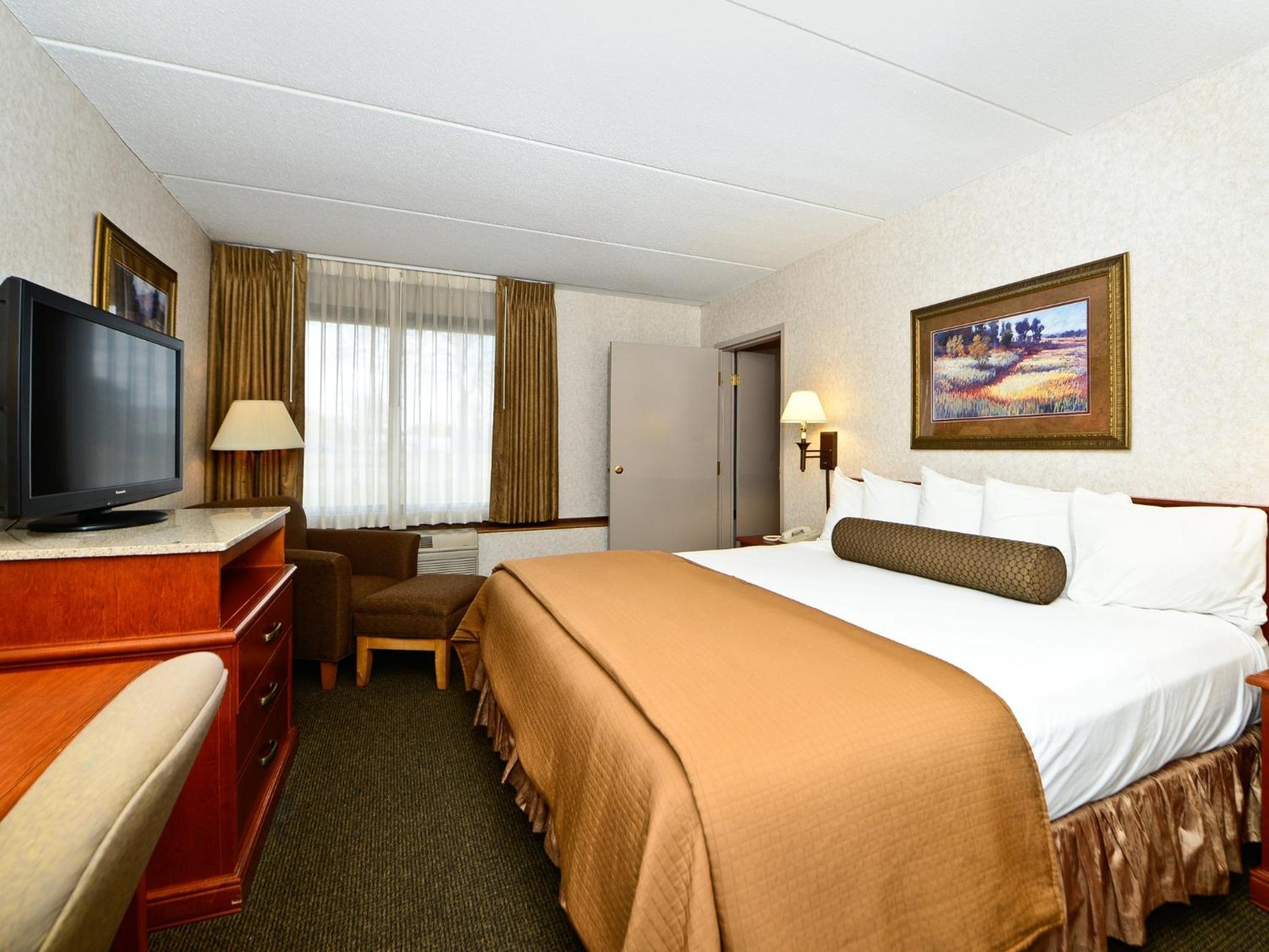One-Bedroom King Suite with Sofa Bed - Photo 1