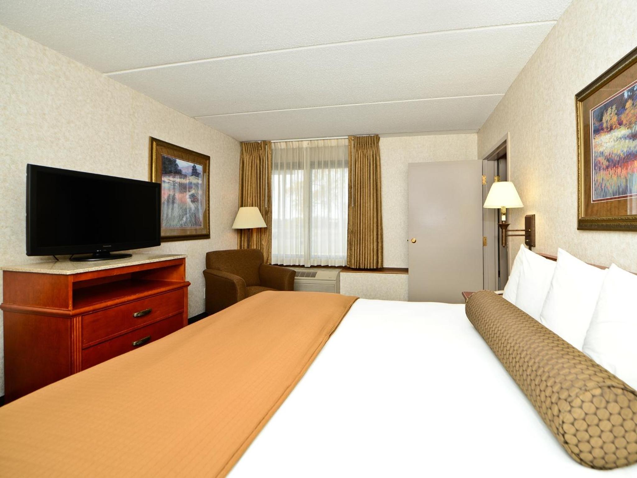 One-Bedroom King Suite with Sofa Bed - Photo 4