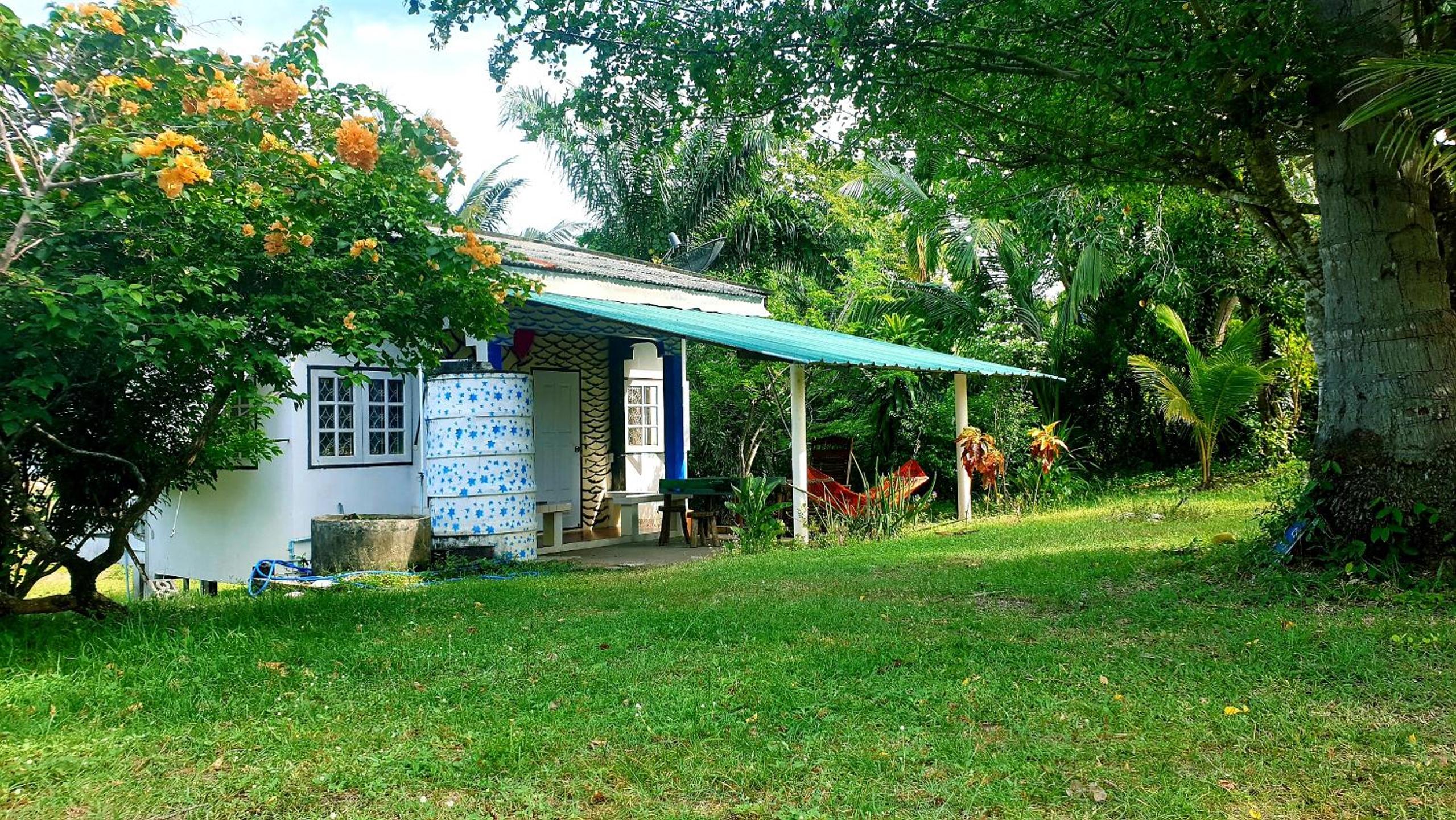 Family Room with Garden View photo 3