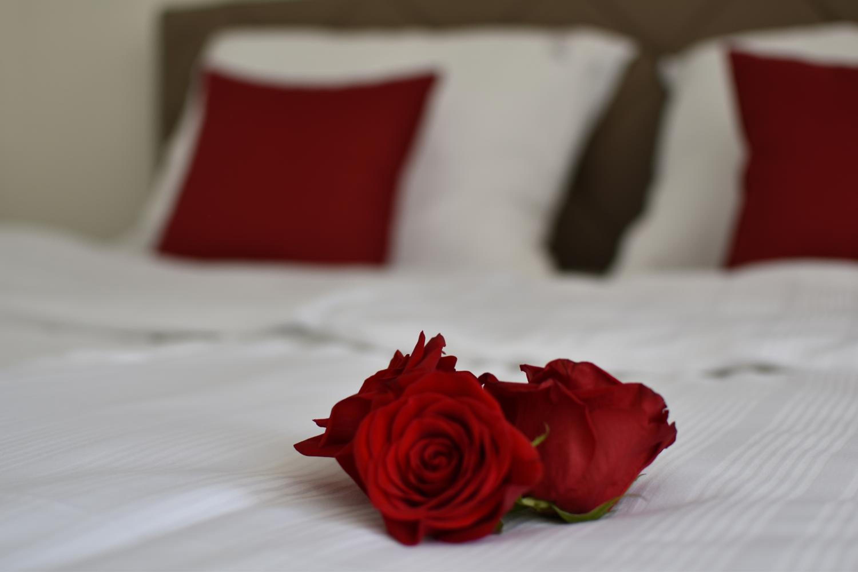 Standard Twin Room photo 1