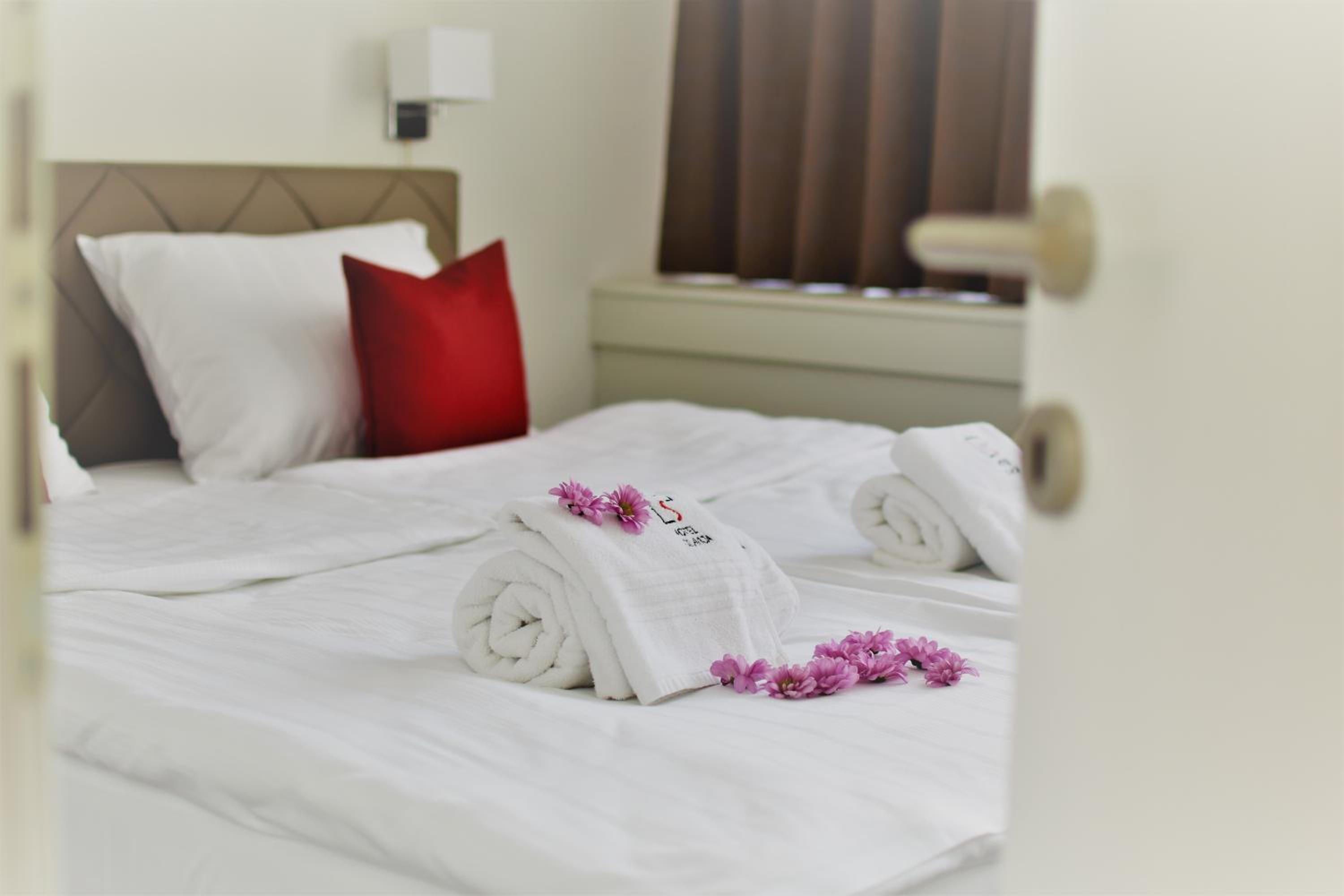 Double Room photo 1
