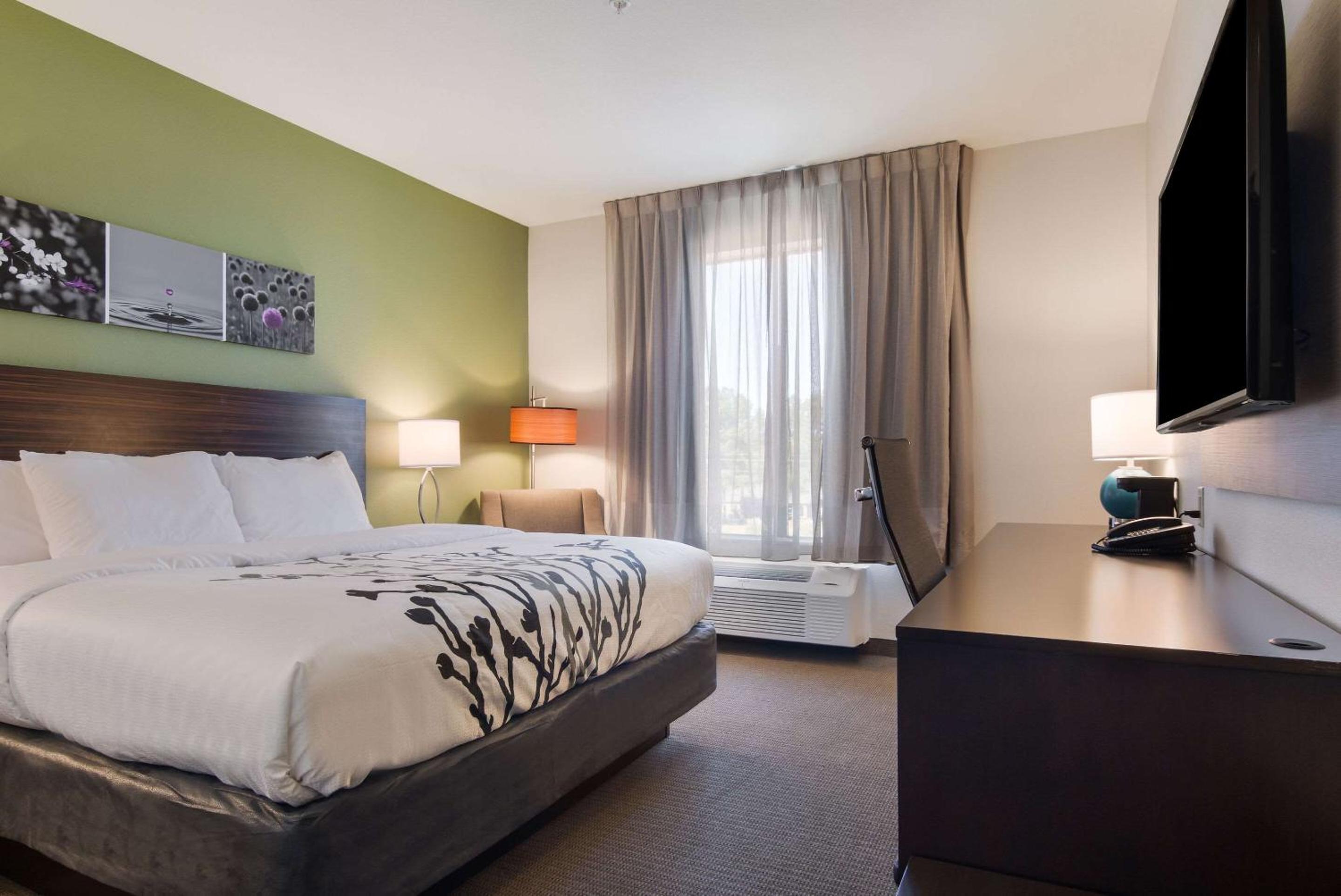 King Room - Non-Smoking - Photo 1