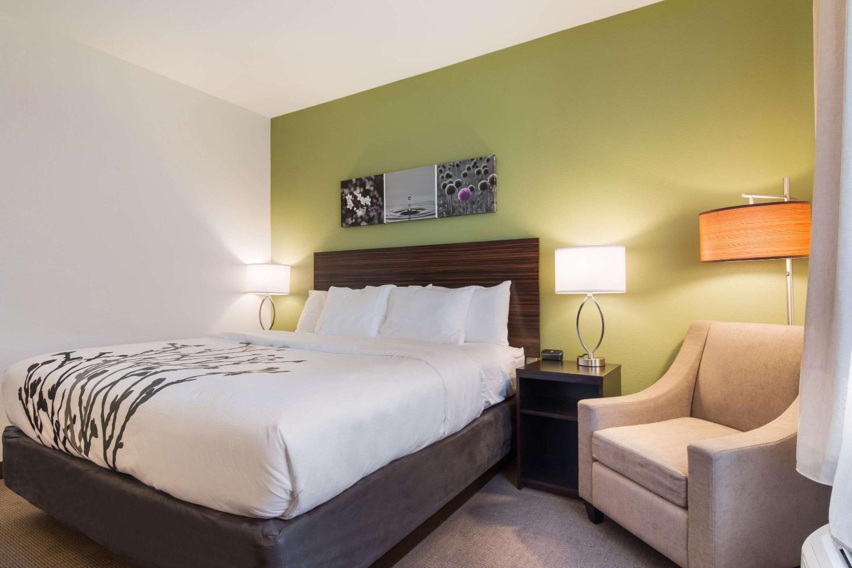 King Room - Non-Smoking - Photo 2