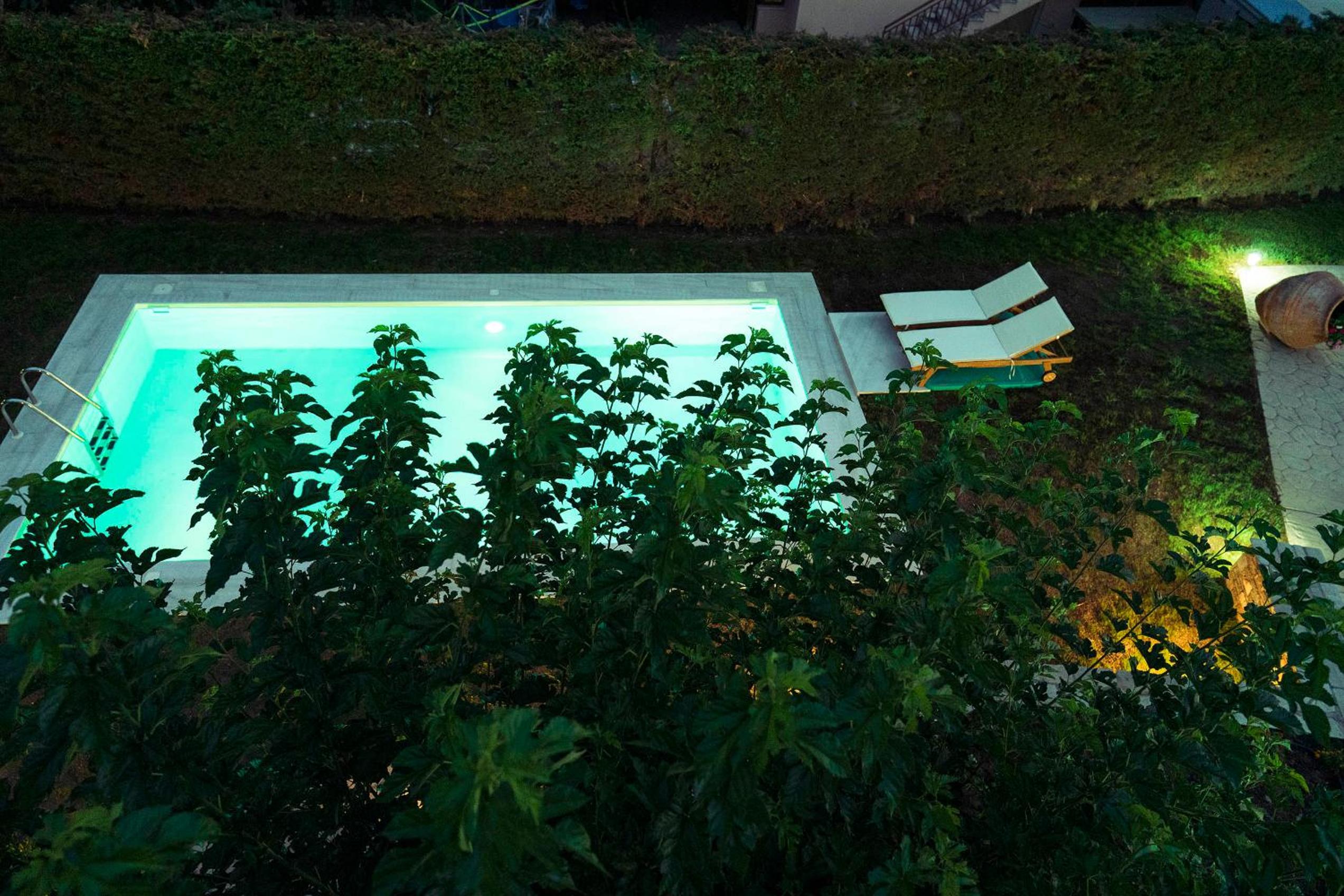 Vacation Home - Photo 25