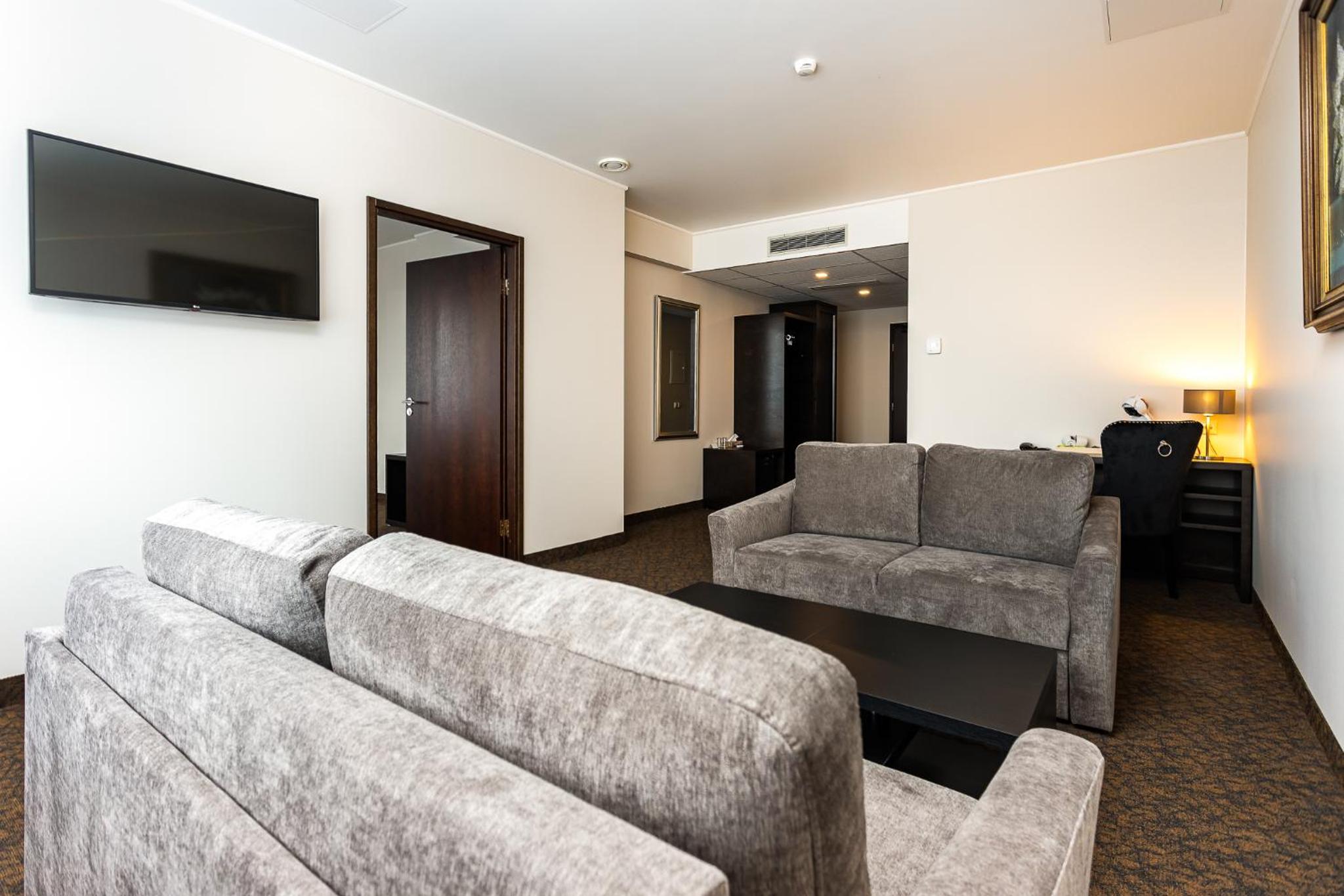 One-Bedroom Suite - Photo 8
