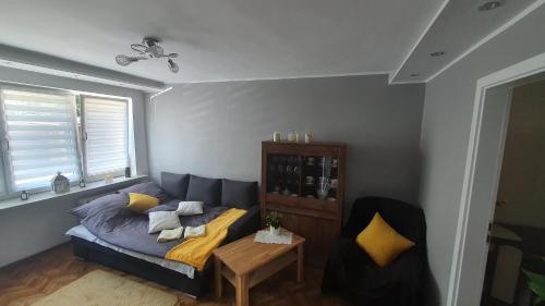 One-Bedroom Apartment photo 3