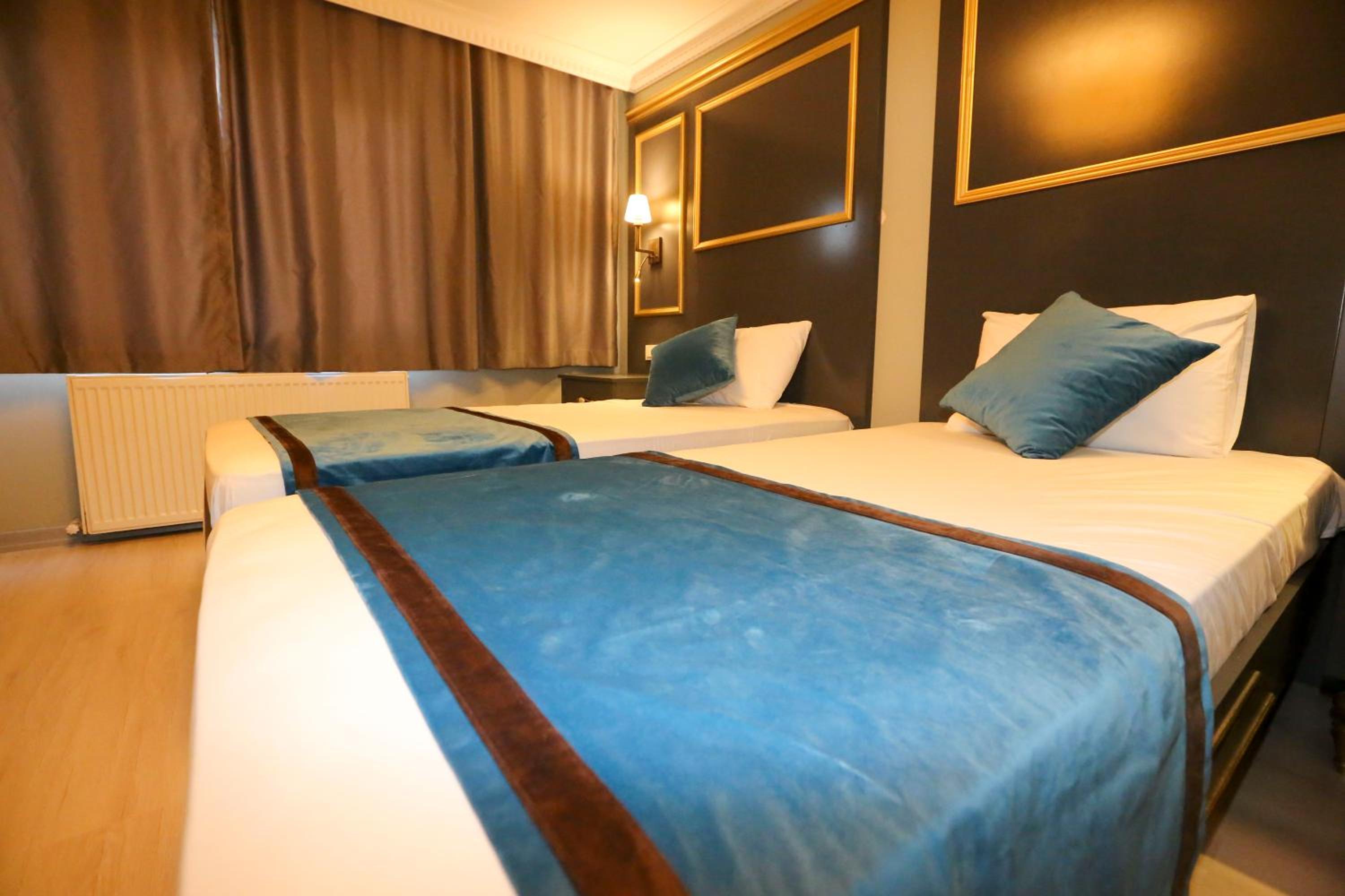 Deluxe Double or Twin Room photo 3