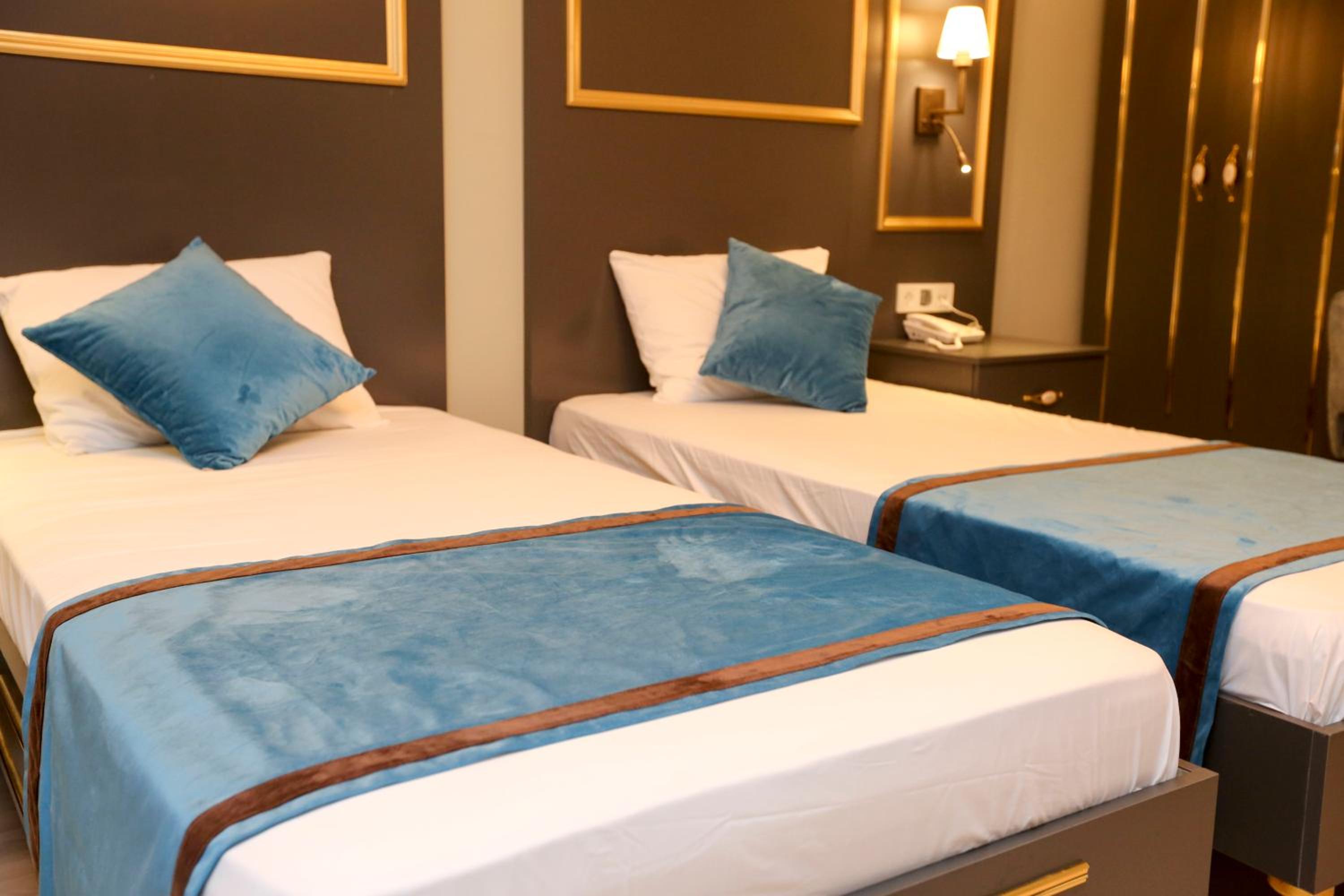 Deluxe Double or Twin Room photo 2