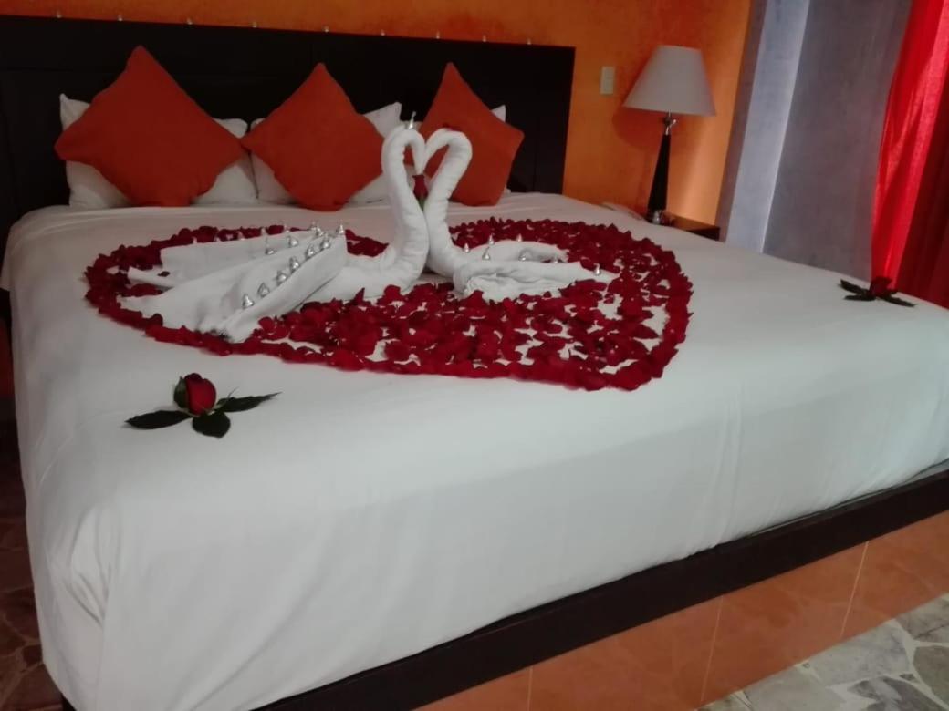 King Room - Photo 19