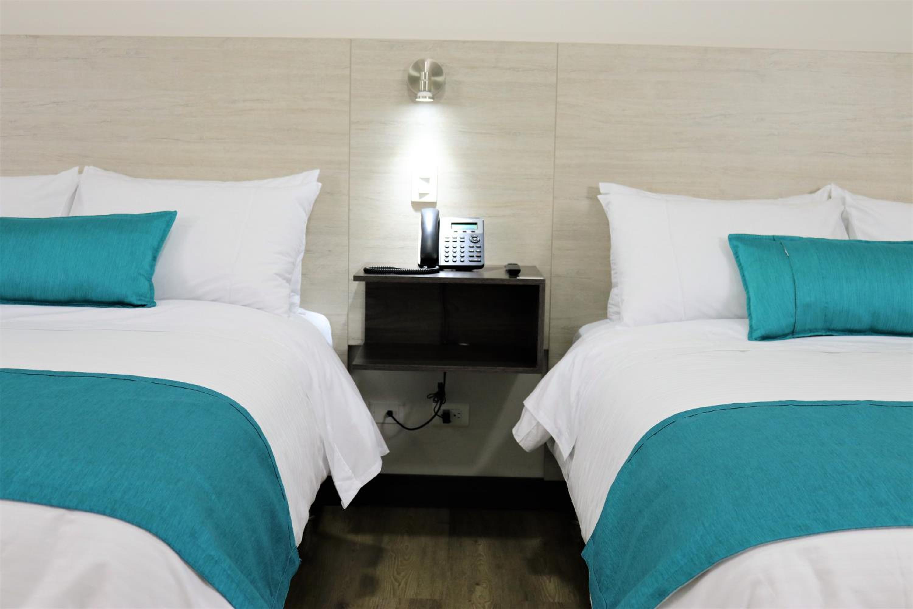Twin Room photo 2