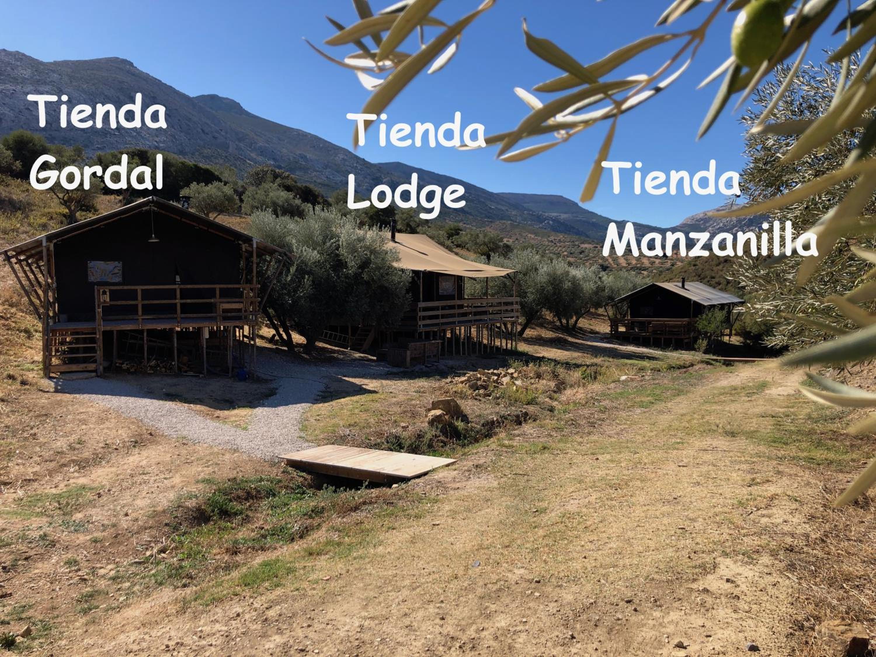 Luxury Safari Lodge - Photo 2