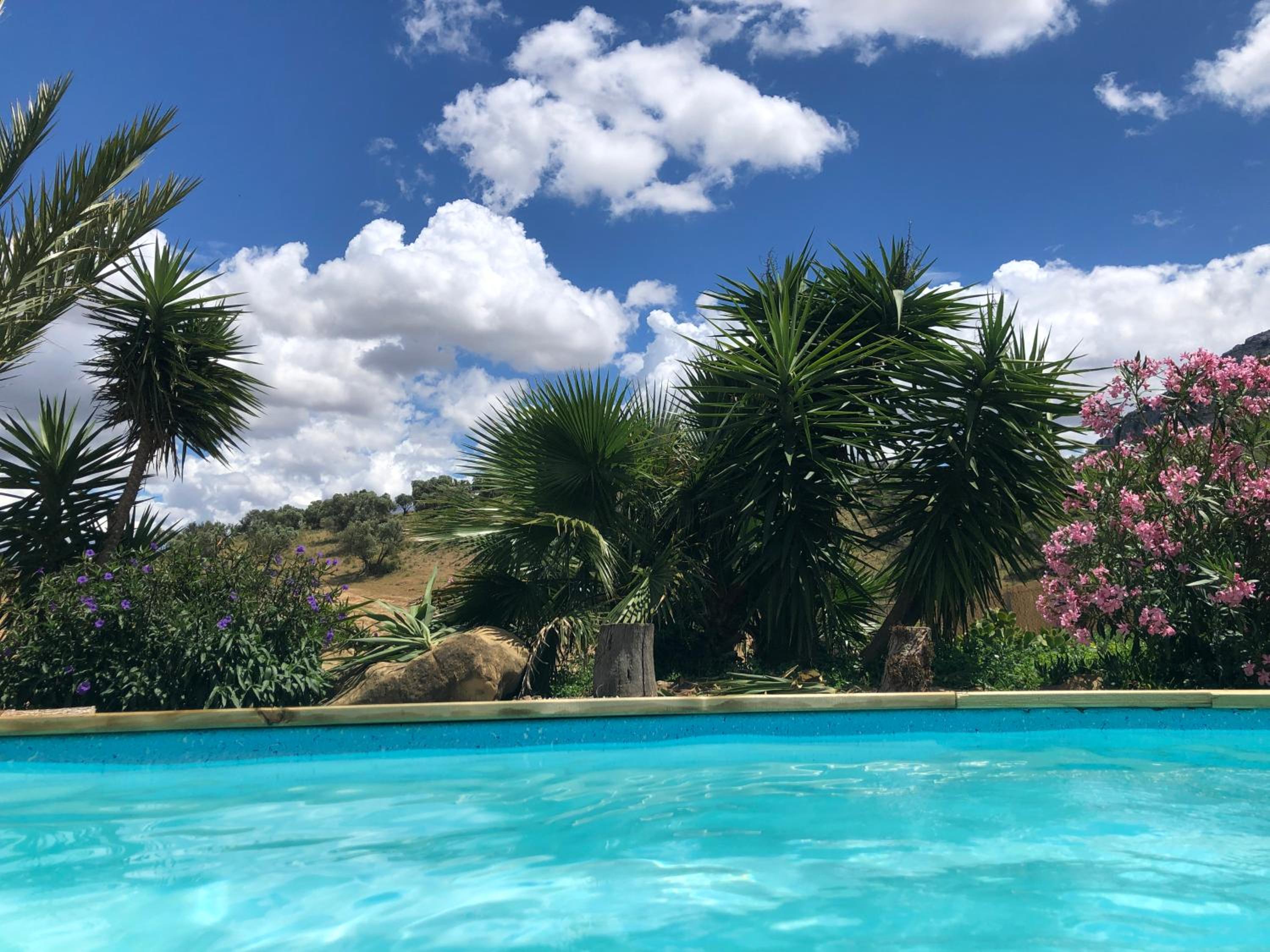 Luxury Safari Lodge - Photo 15