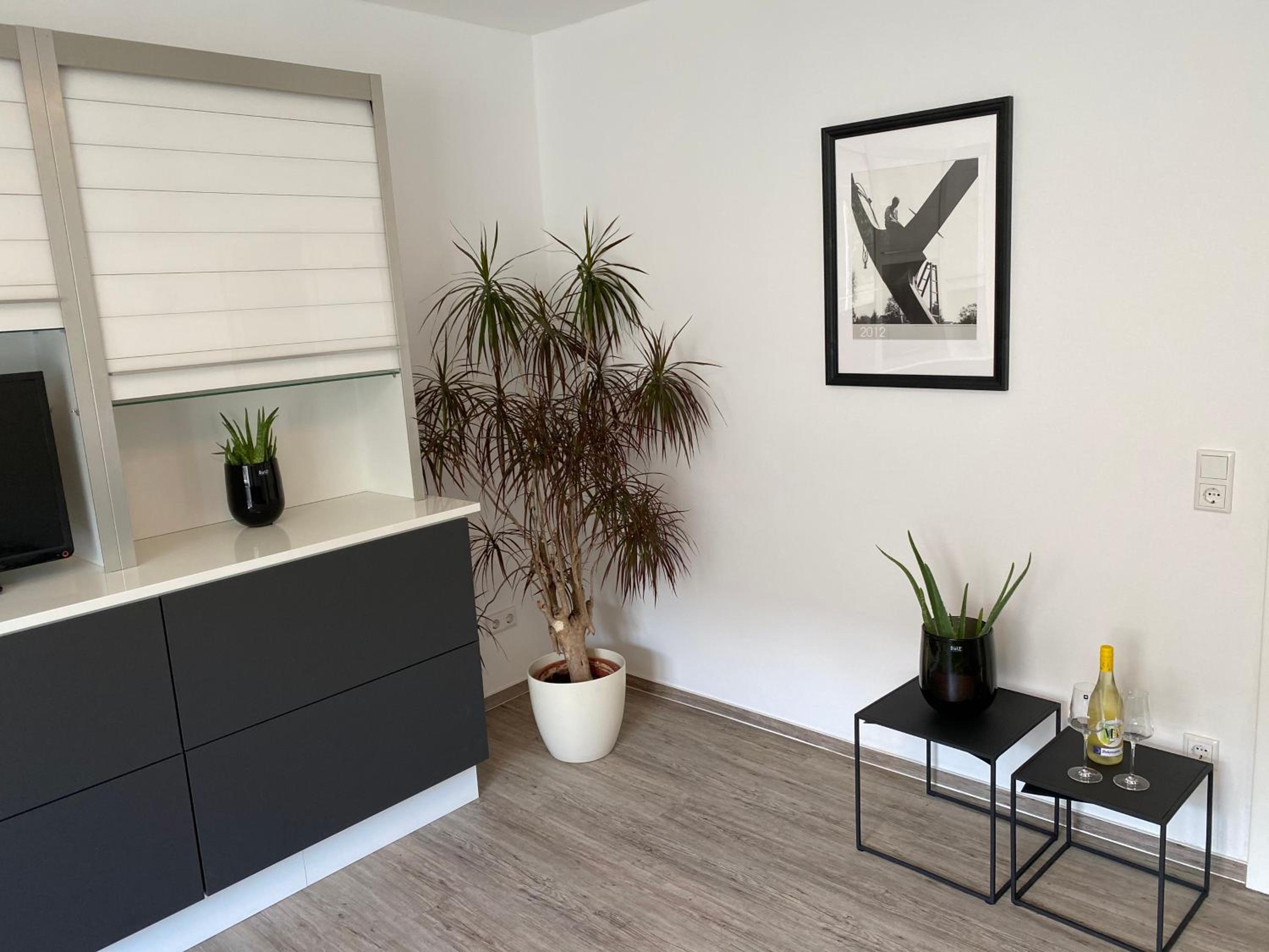 One-Bedroom Apartment (No.2) - Photo 12