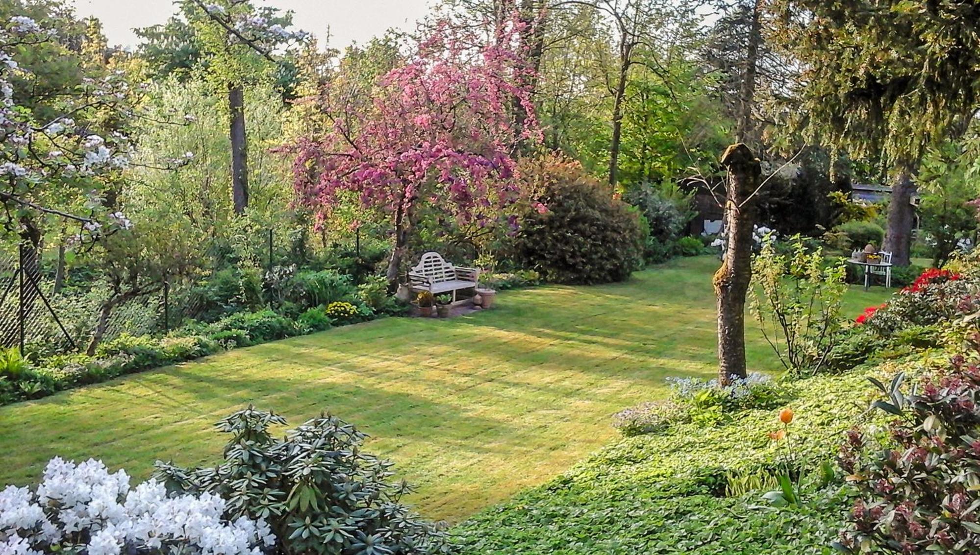 Apartment with Garden View - Photo 7