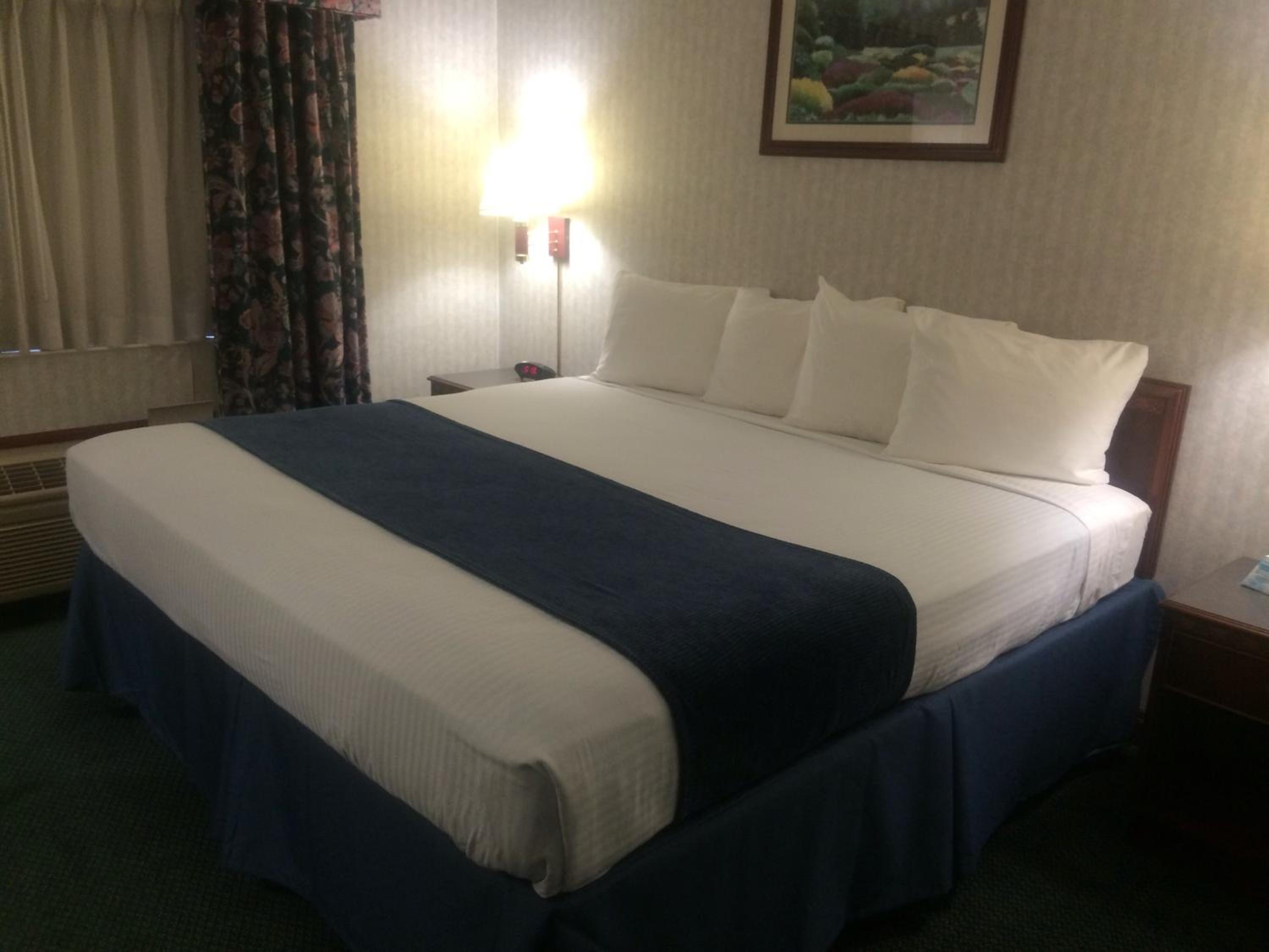 King Suite with Sofa Bed - Non-Smoking - Photo 11