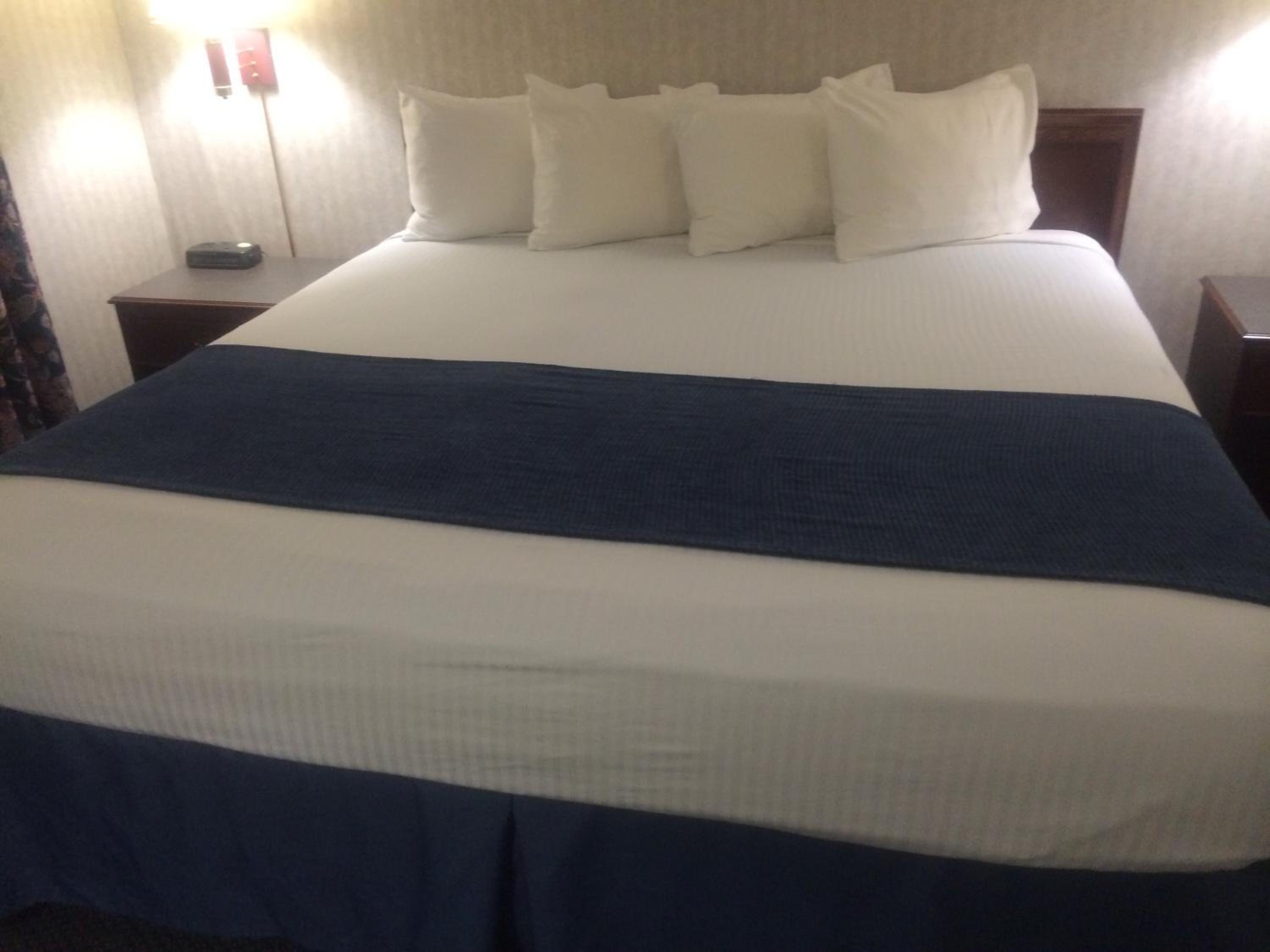 King Suite with Sofa Bed - Non-Smoking - Photo 9