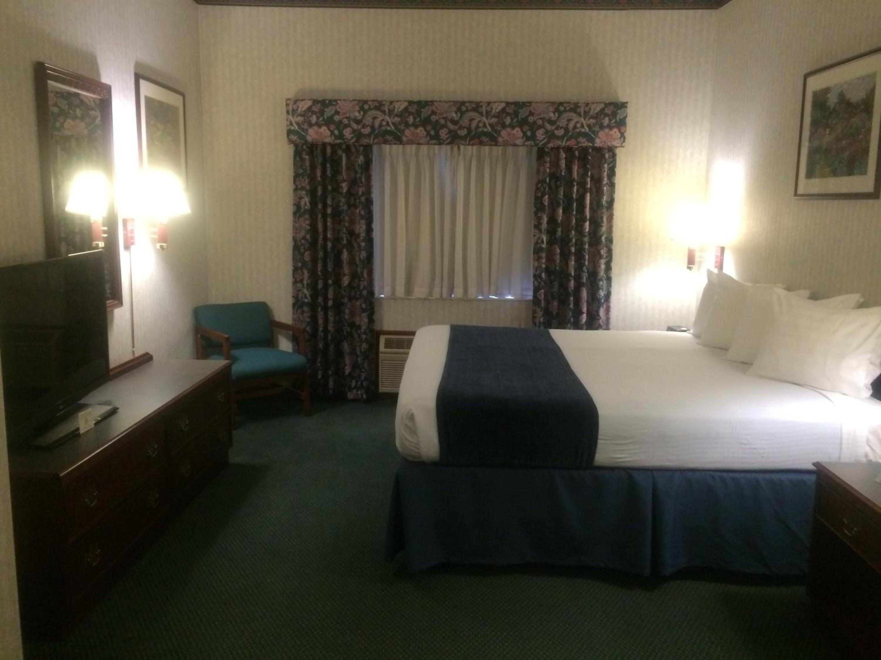 King Suite with Sofa Bed - Non-Smoking - Photo 8