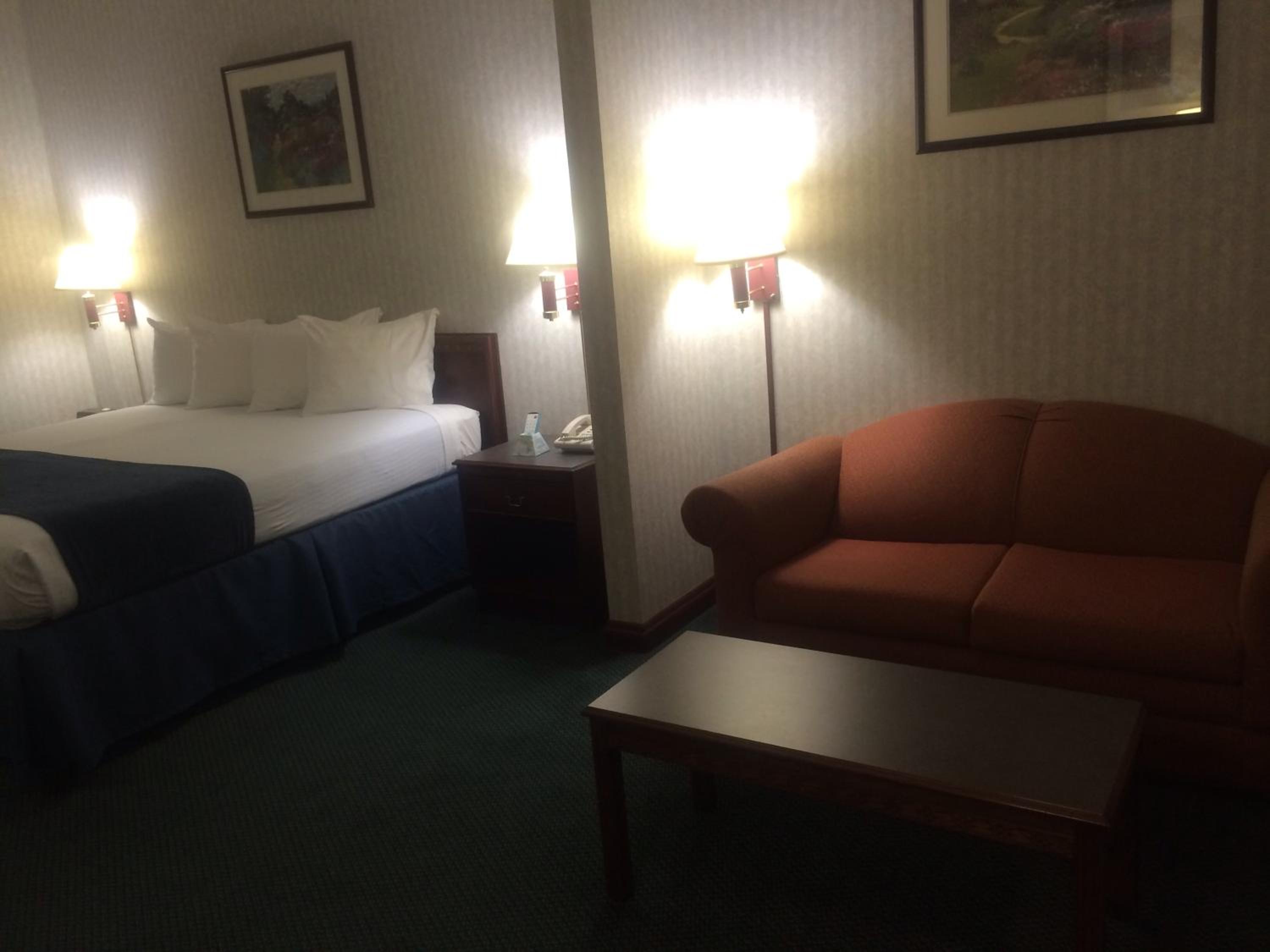 King Suite with Sofa Bed - Non-Smoking - Photo 4