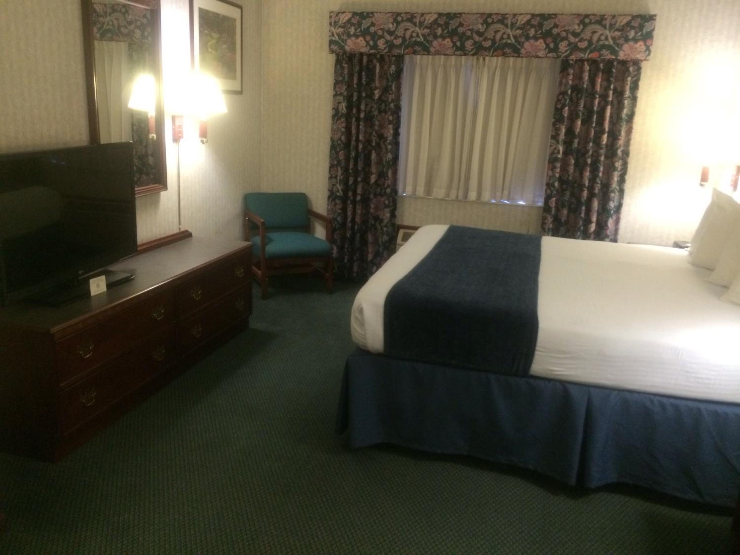 King Suite with Sofa Bed - Non-Smoking - Photo 7
