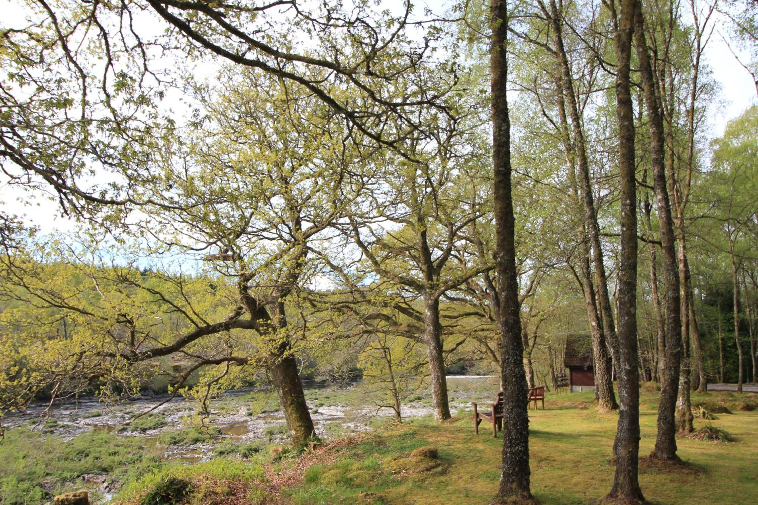 One-Bedroom Chalet With River View photo 2