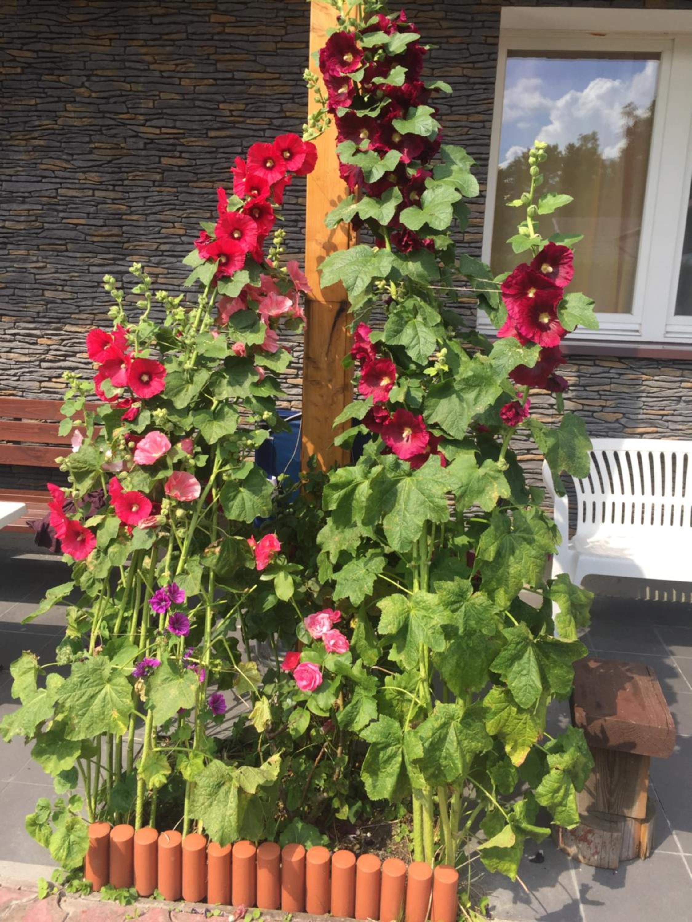 Holiday Home - Photo 30